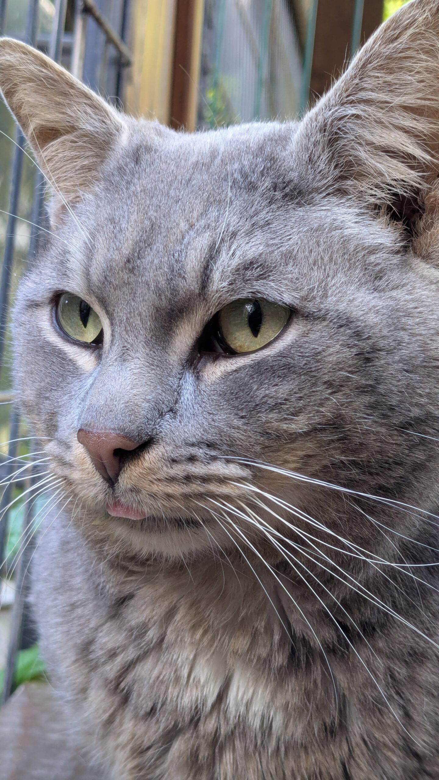 PXL_20250523_163105974