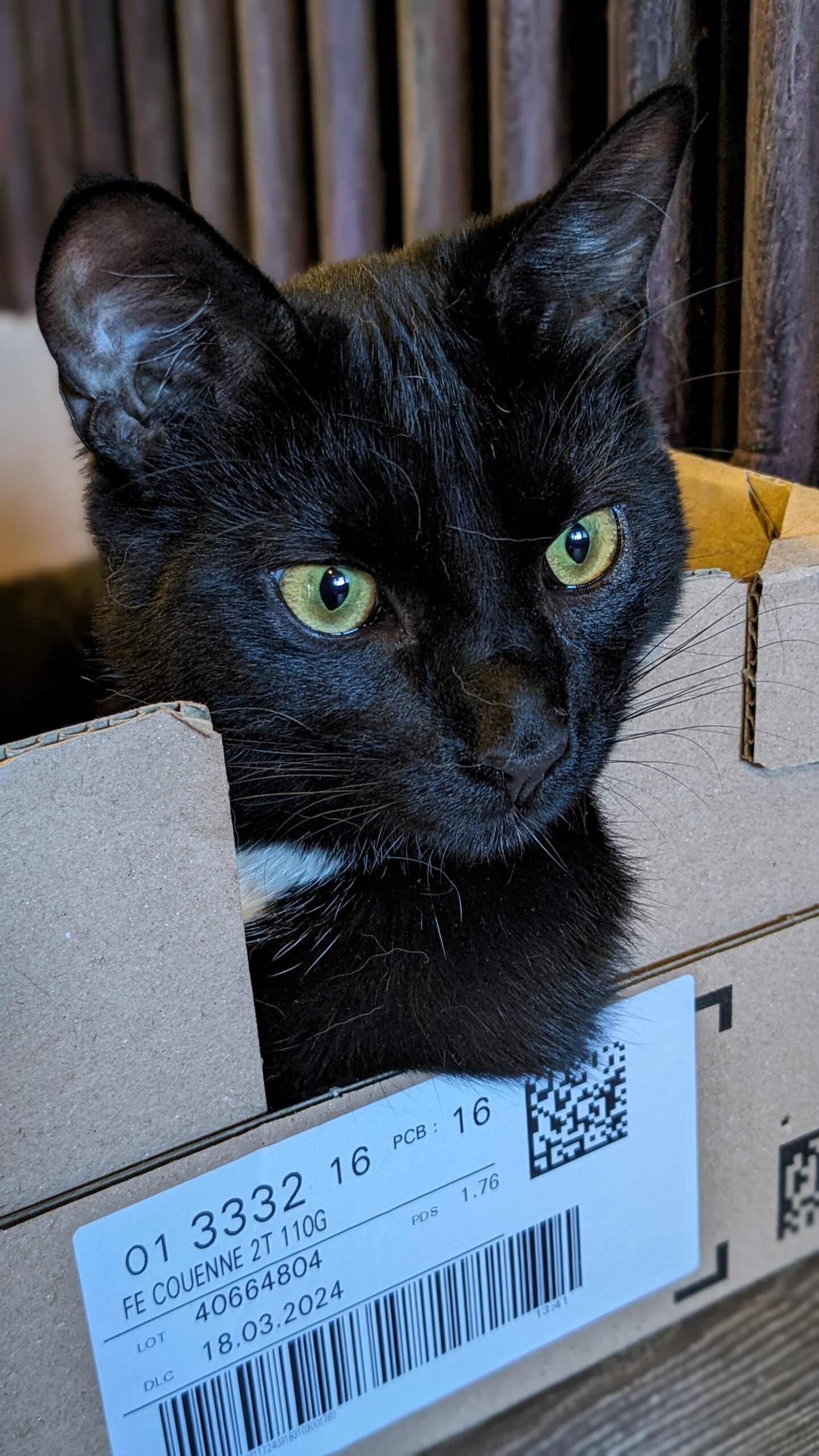 PXL_20240225_092301868.PORTRAIT