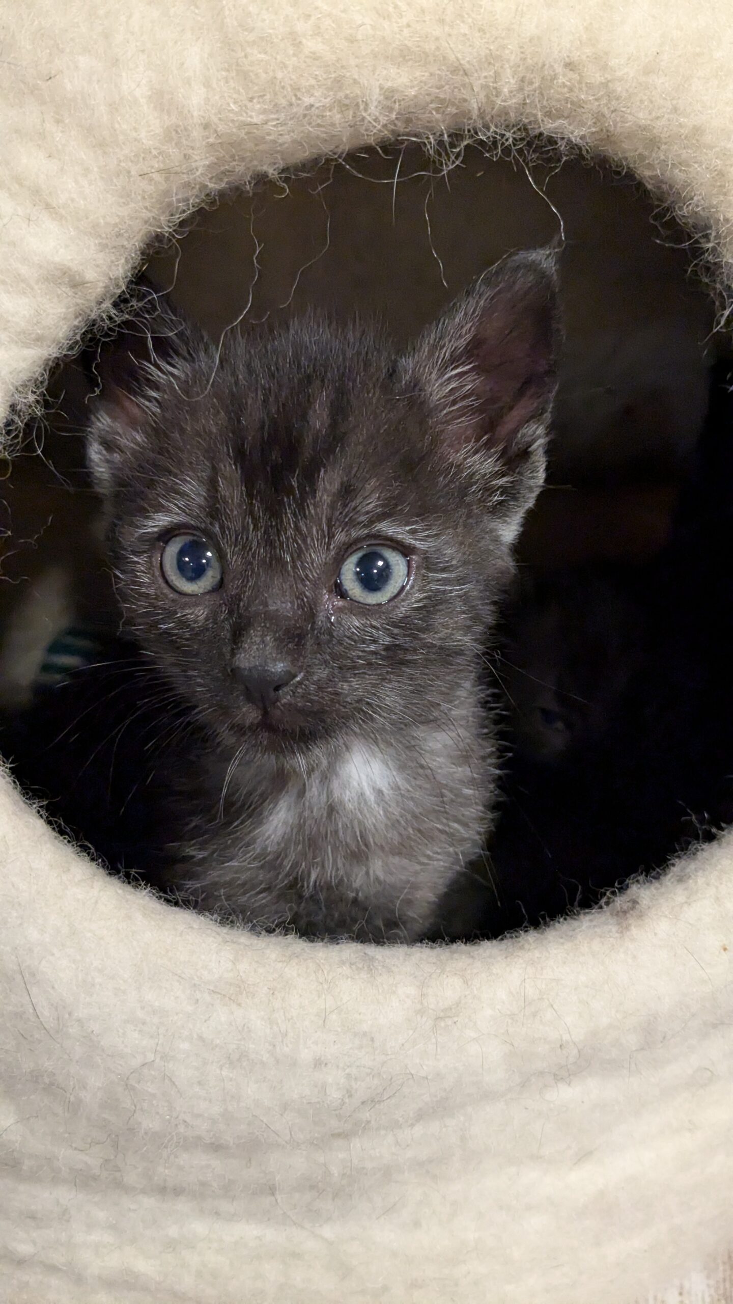 PXL_20240621_191442995