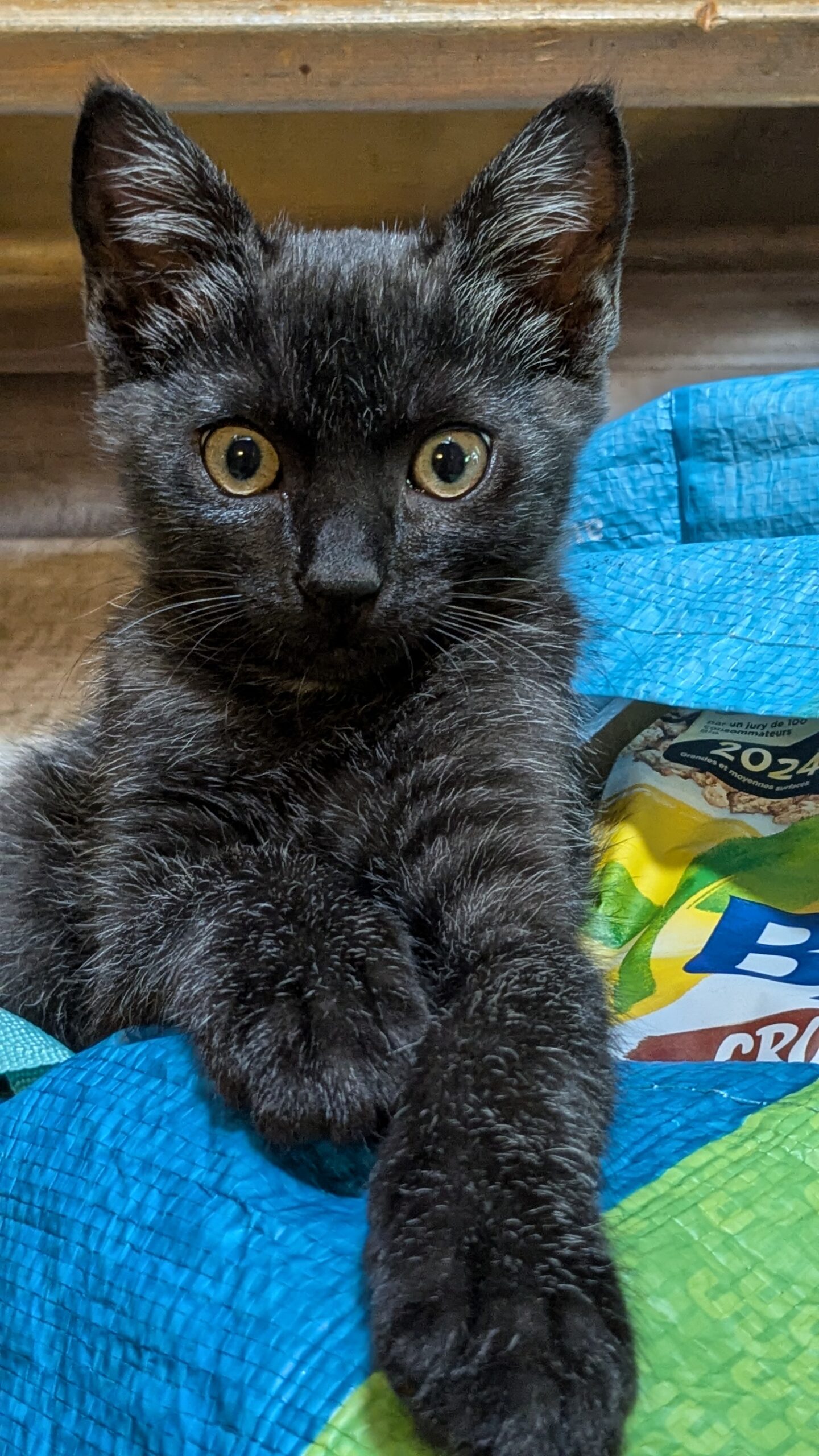 PXL_20240724_133716982