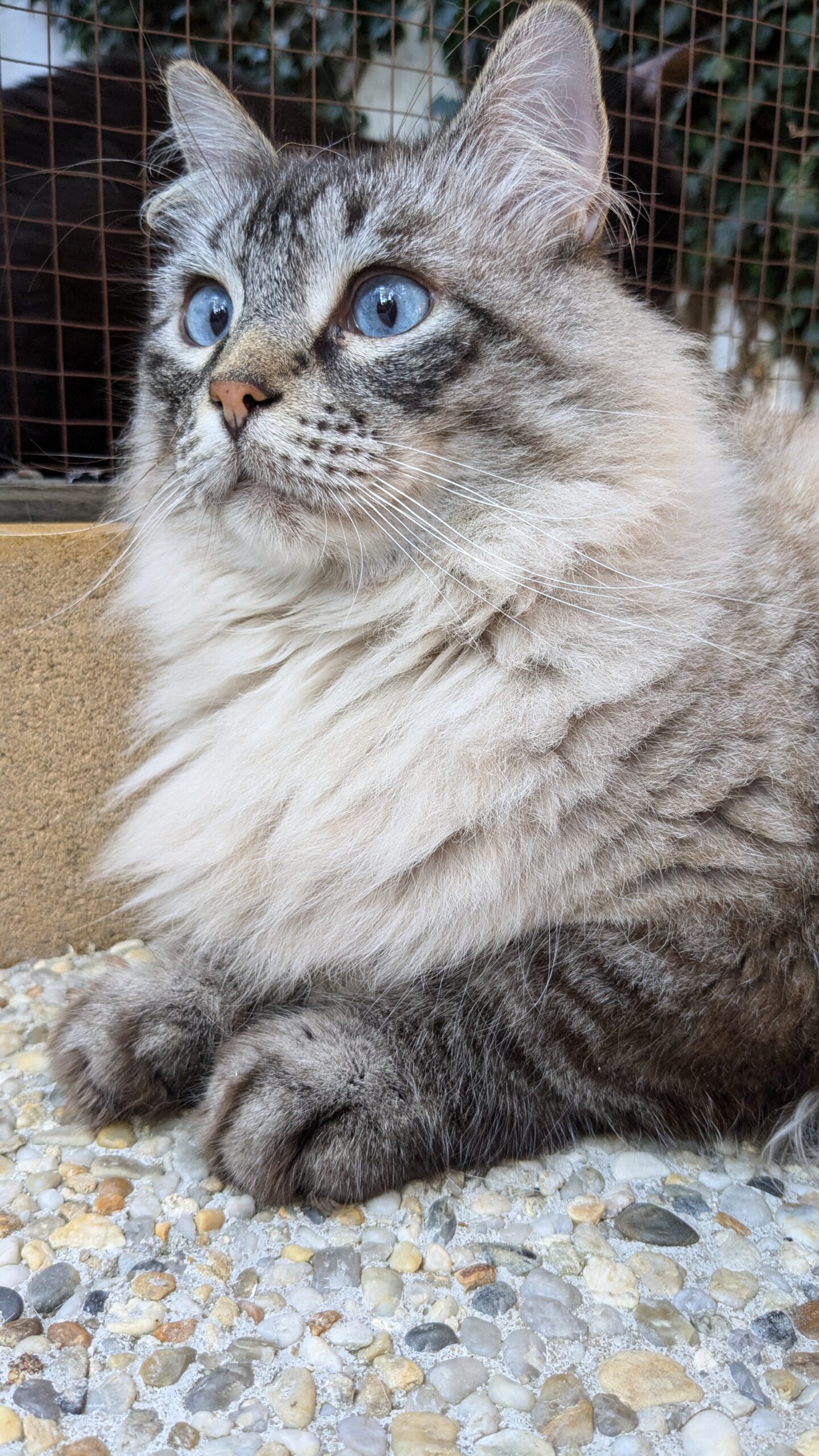 PXL_20240813_154413569