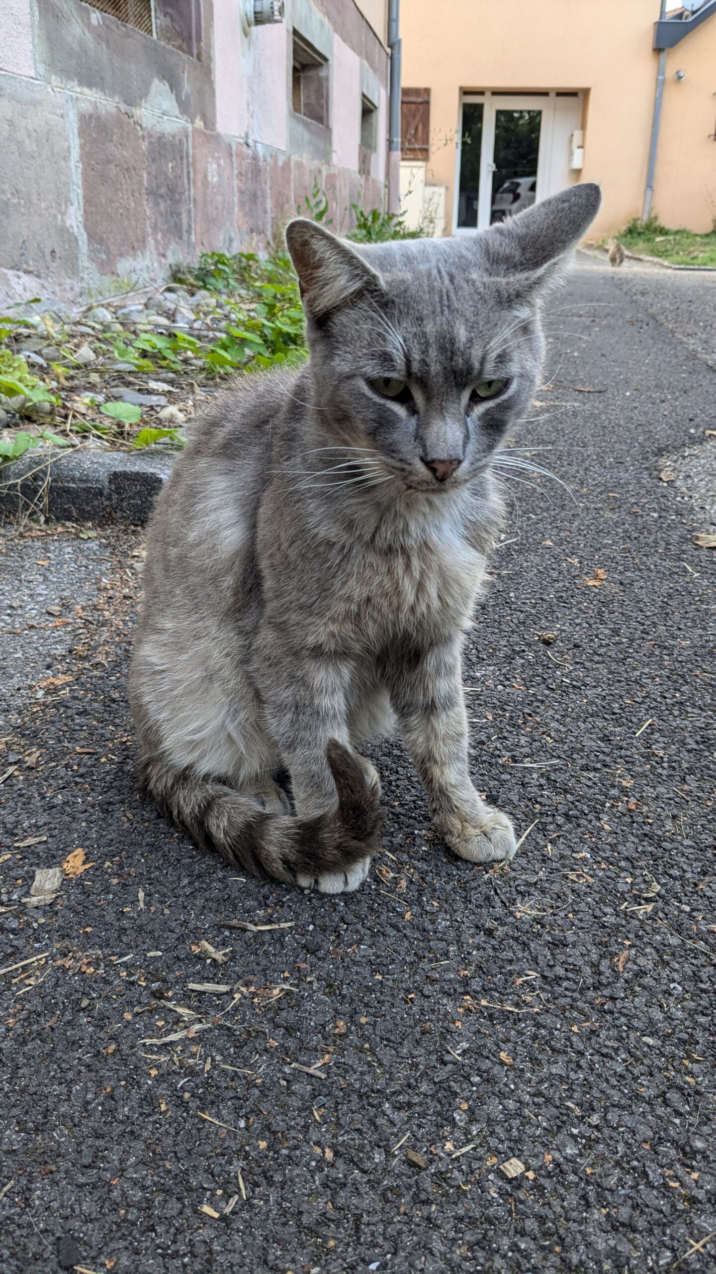 PXL_20240815_171456521