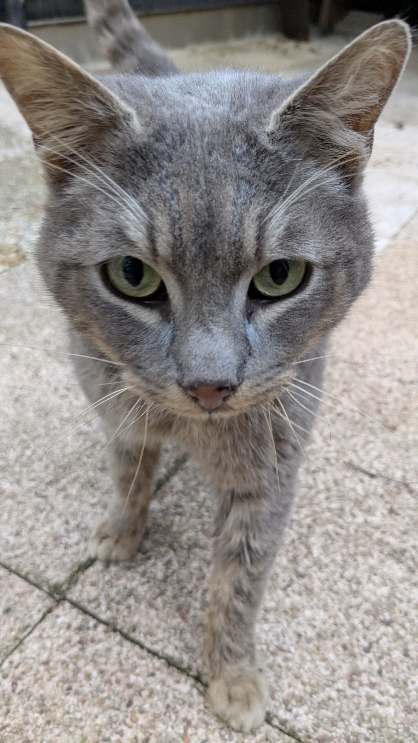 PXL_20250311_163808056