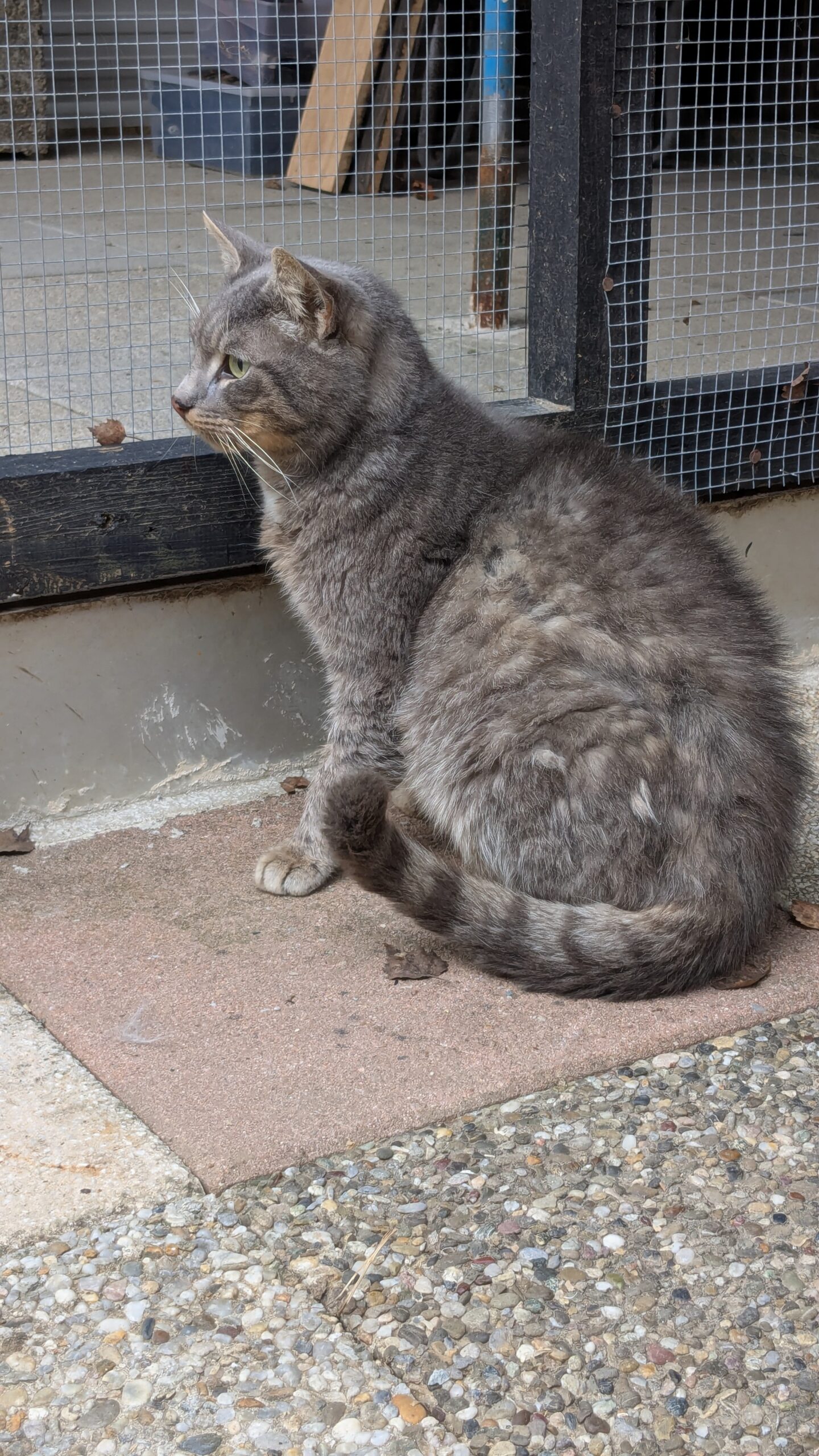 PXL_20250311_164042833