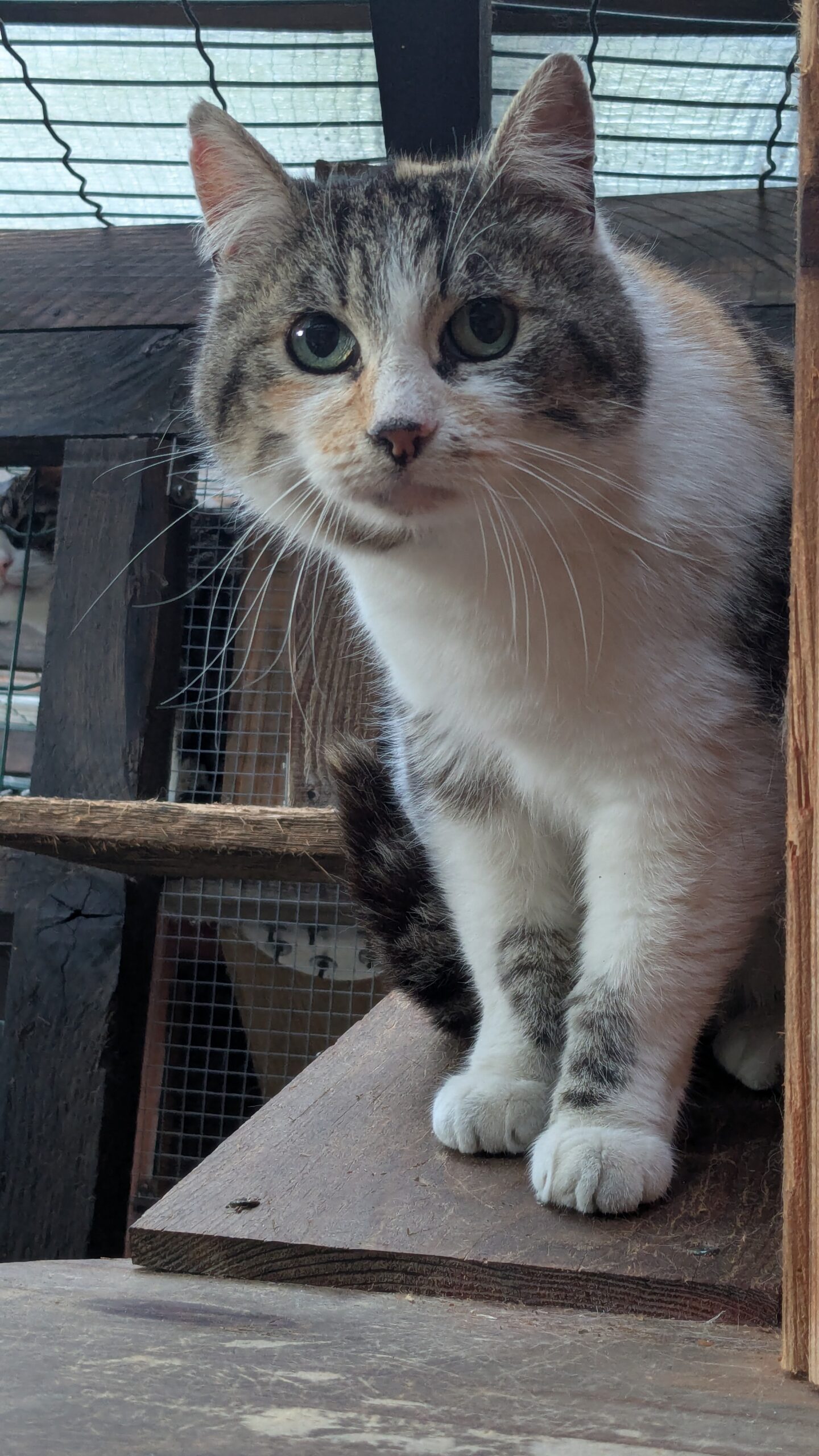 PXL_20250513_181447450