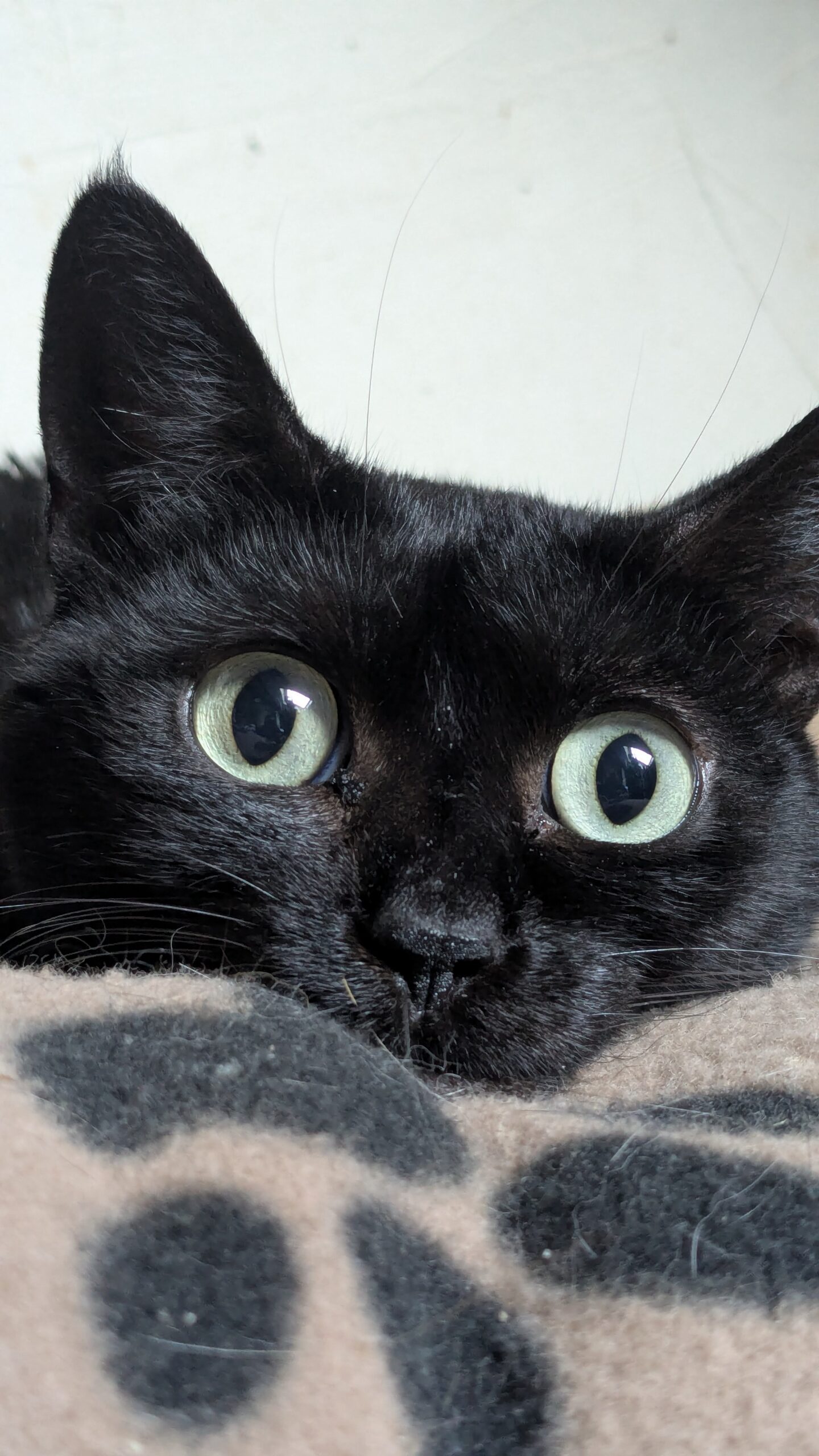 PXL_20250514_055731974