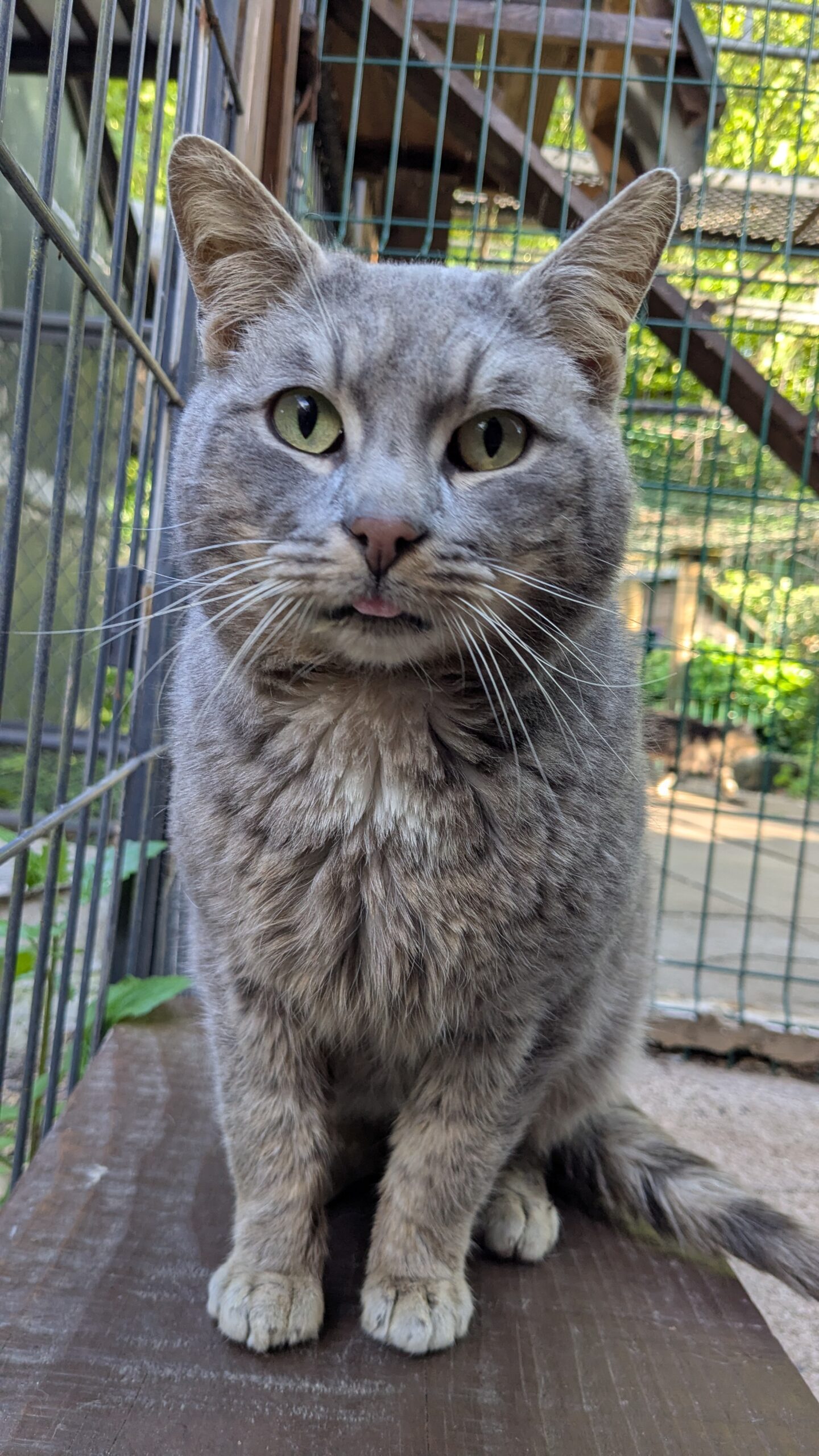 PXL_20250523_163049010