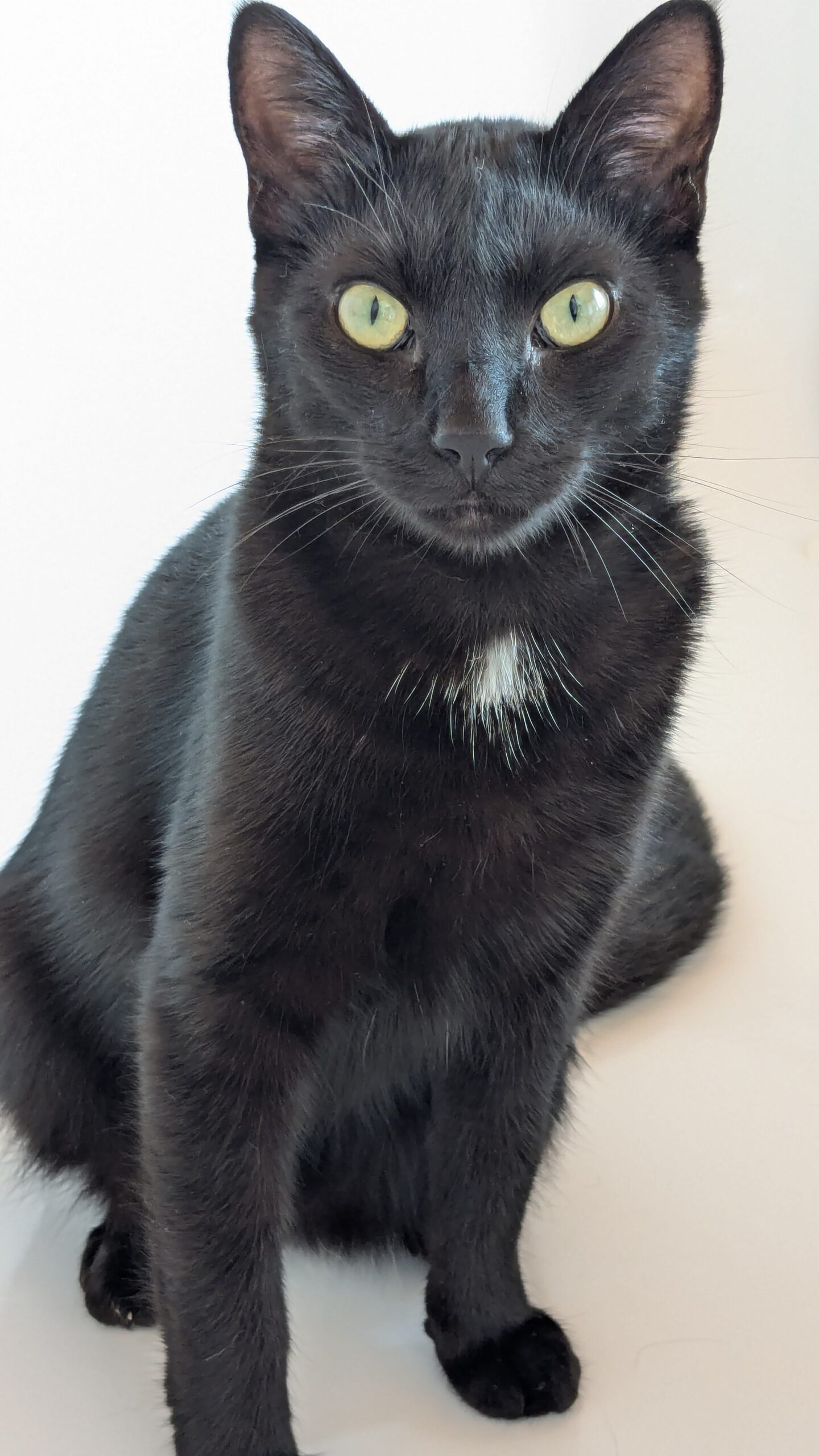 PXL_20250601_091140011