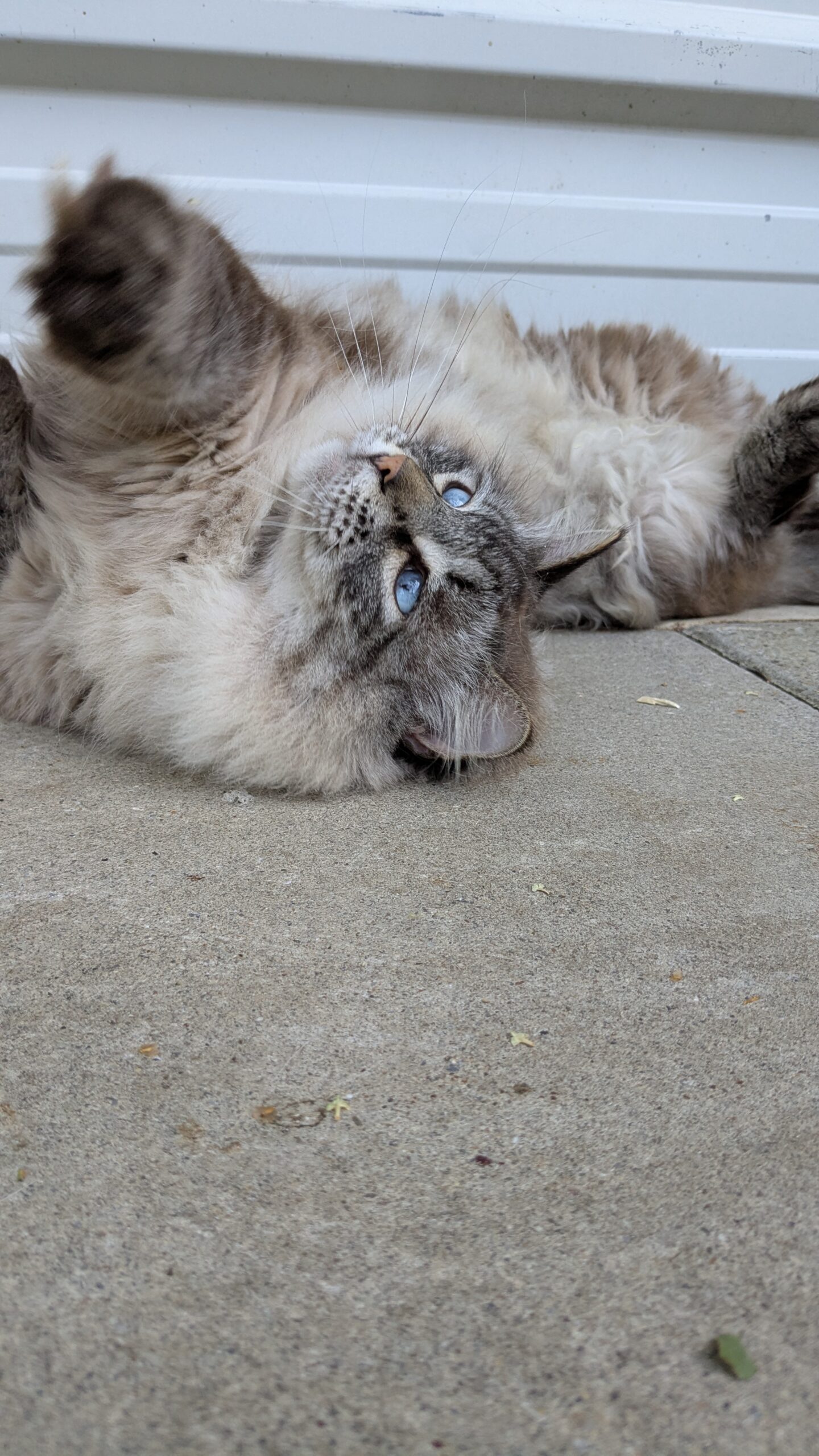 PXL_20250625_164114290