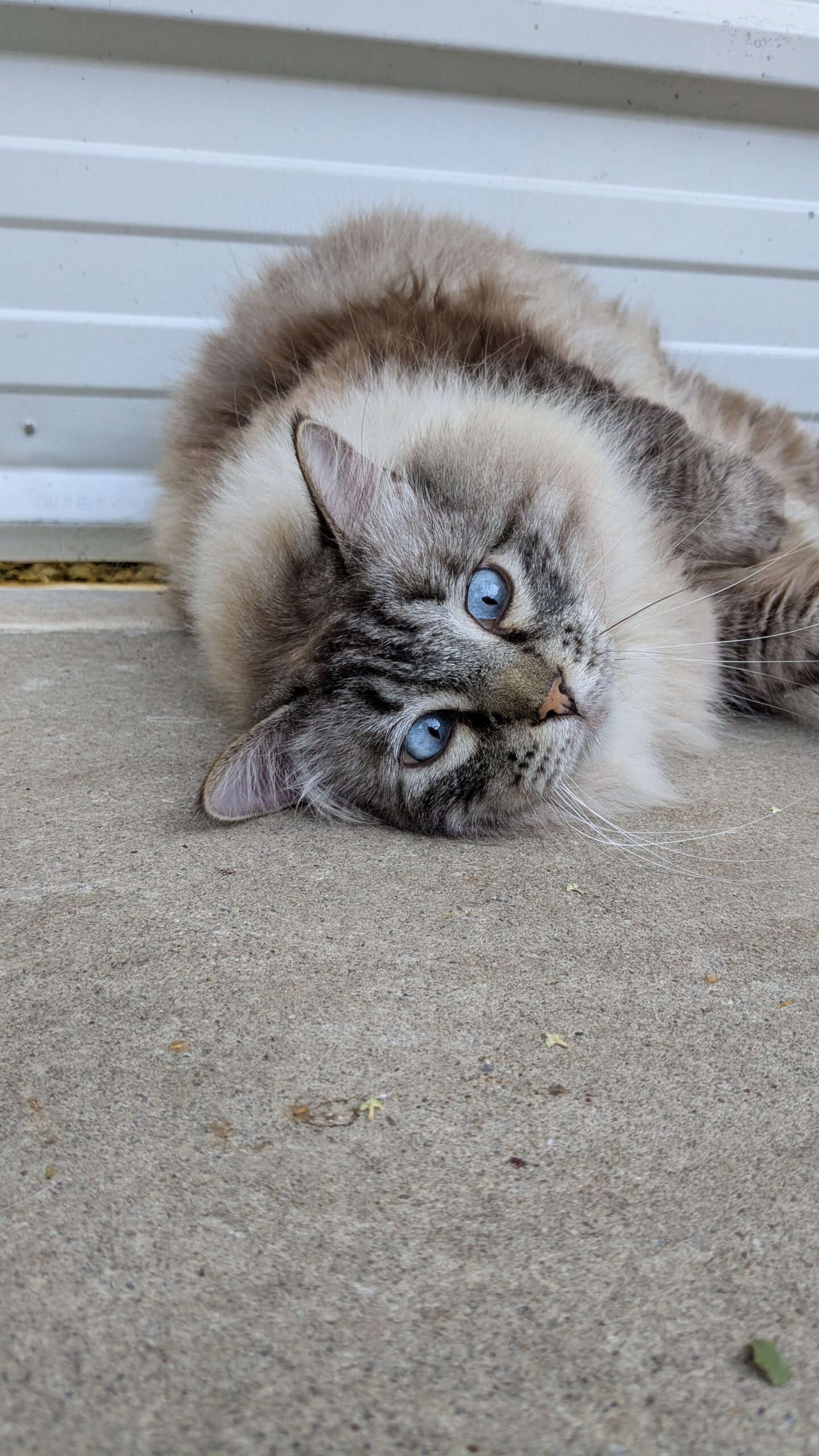 PXL_20250625_164116247