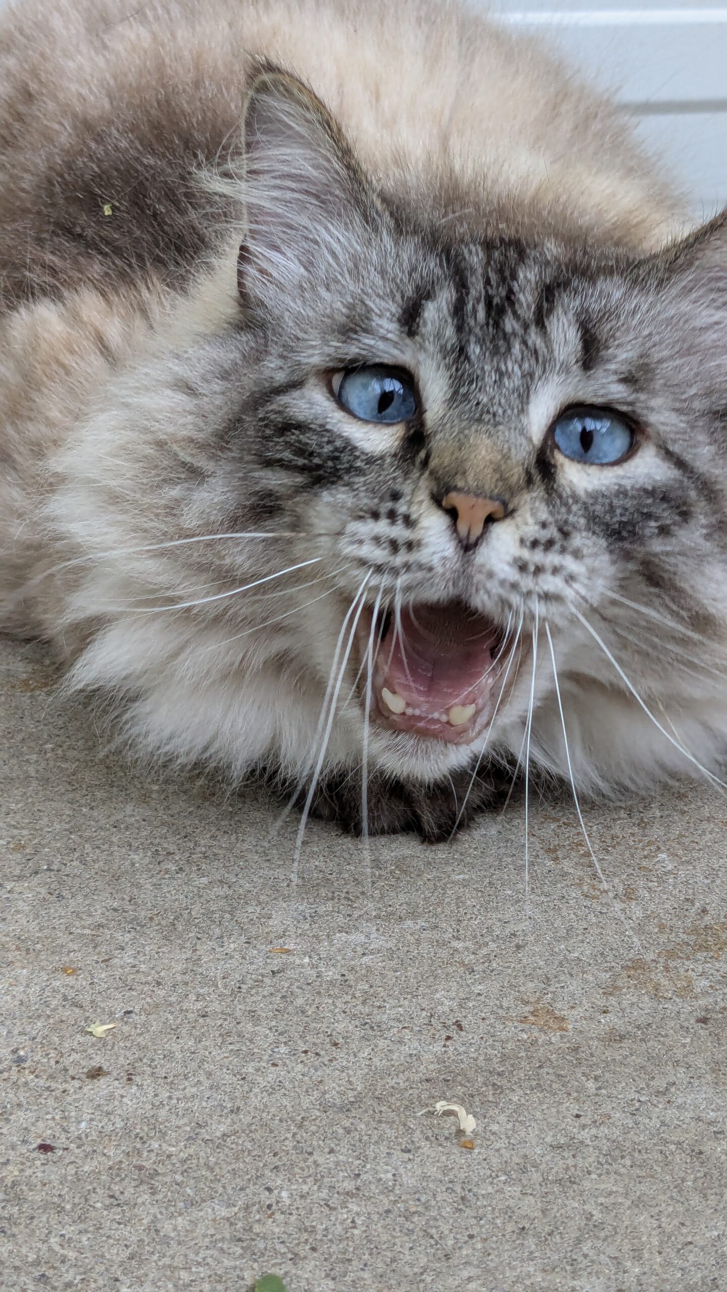 PXL_20250625_164203666