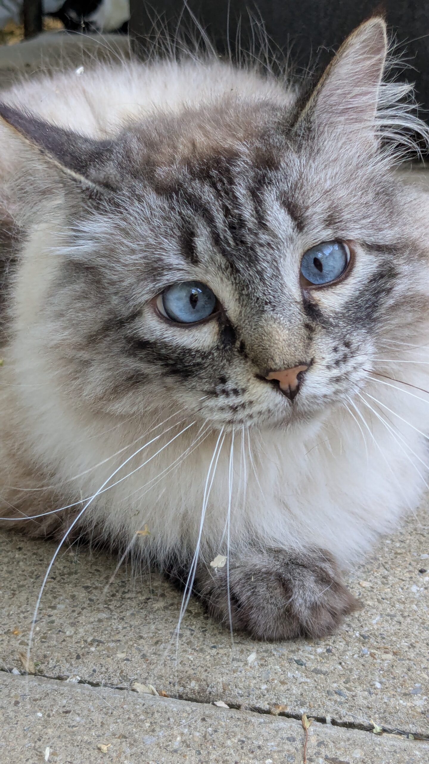 PXL_20250625_164444181