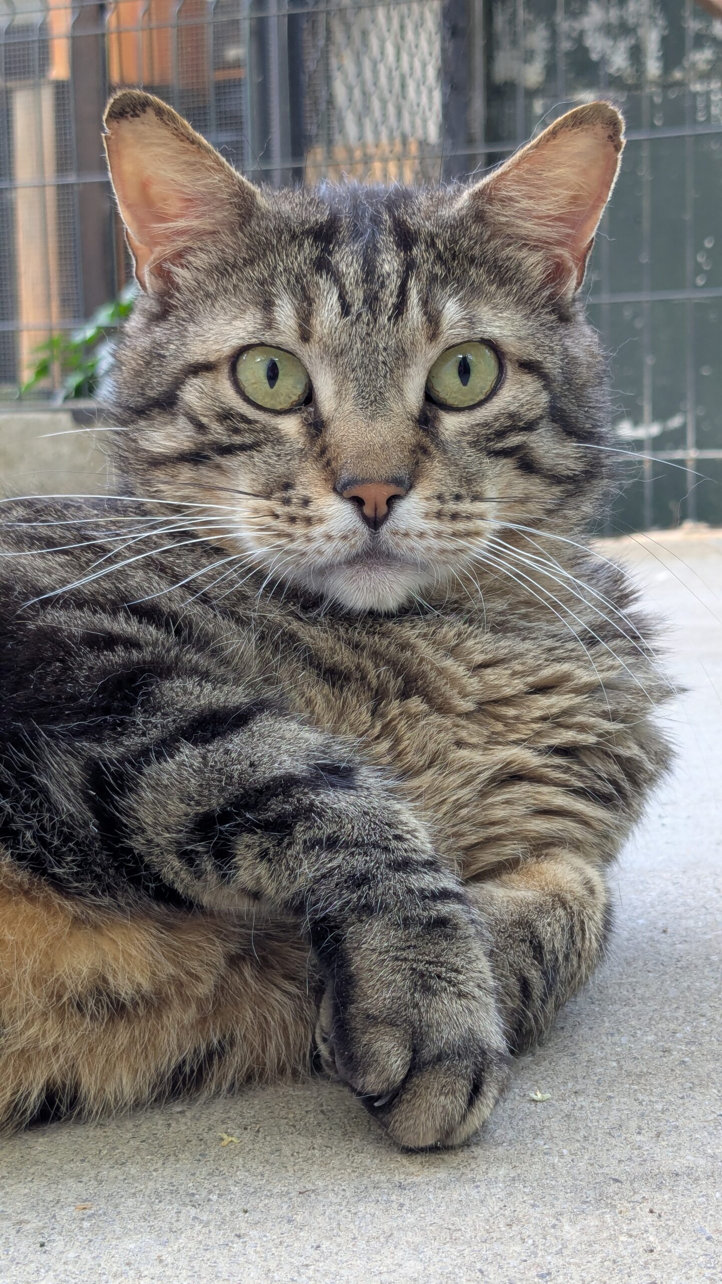 PXL_20250625_164736367