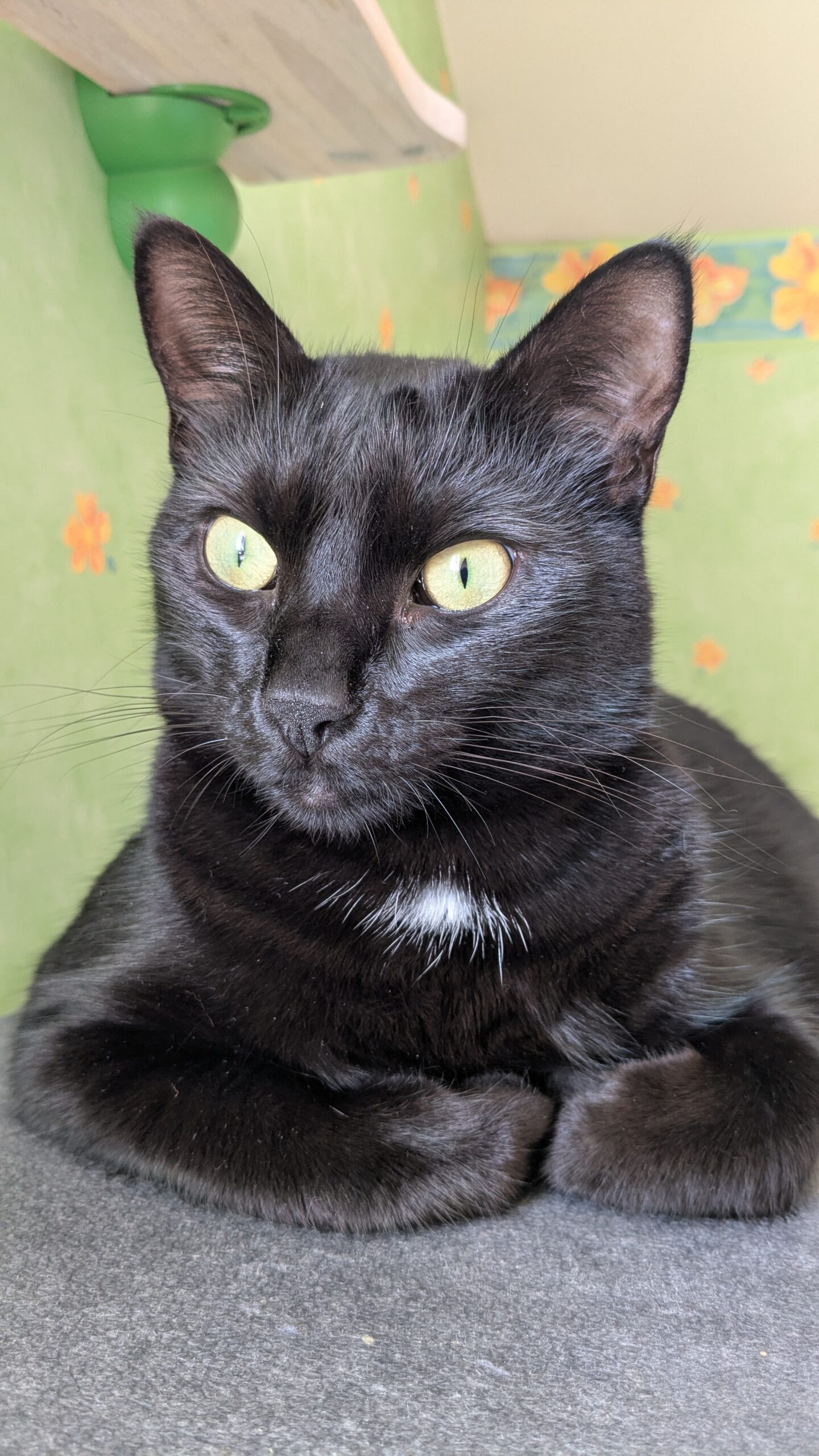 PXL_20250731_132919012