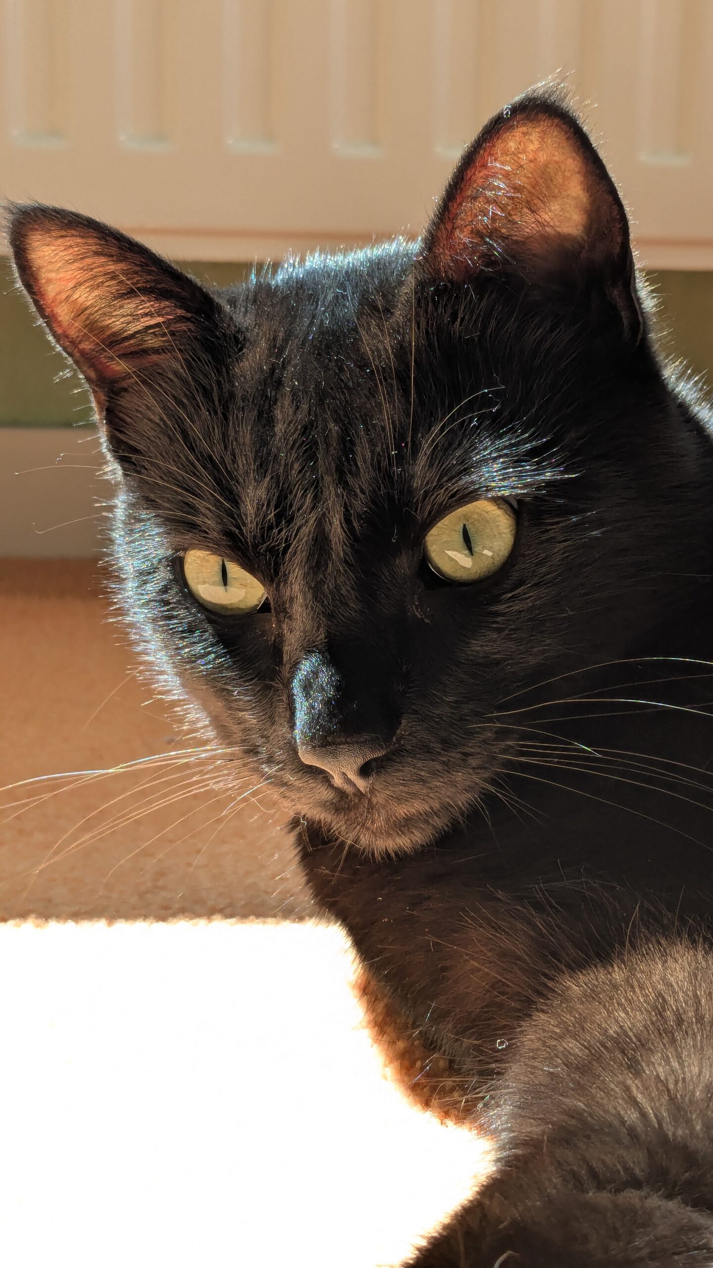 PXL_20250731_134744531