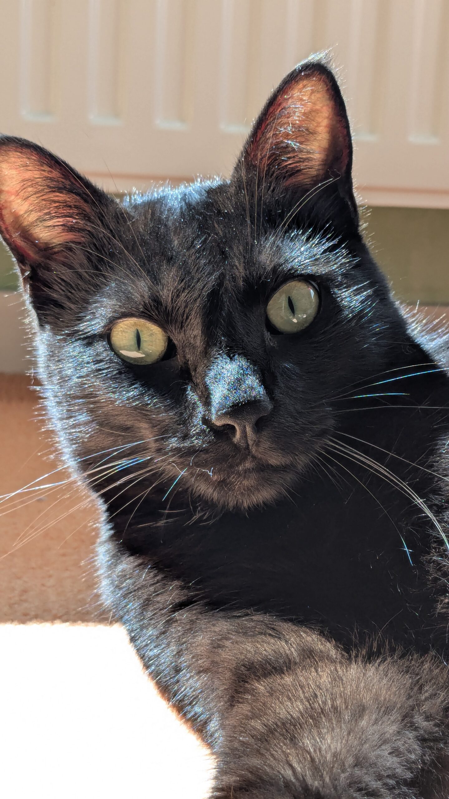 PXL_20250731_134749126