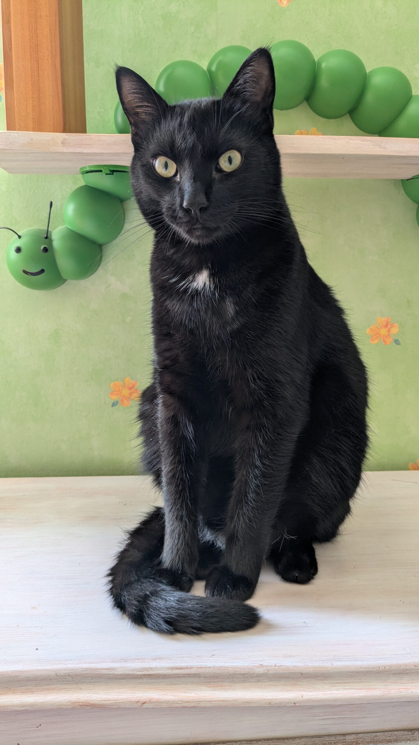 PXL_20250801_125936923