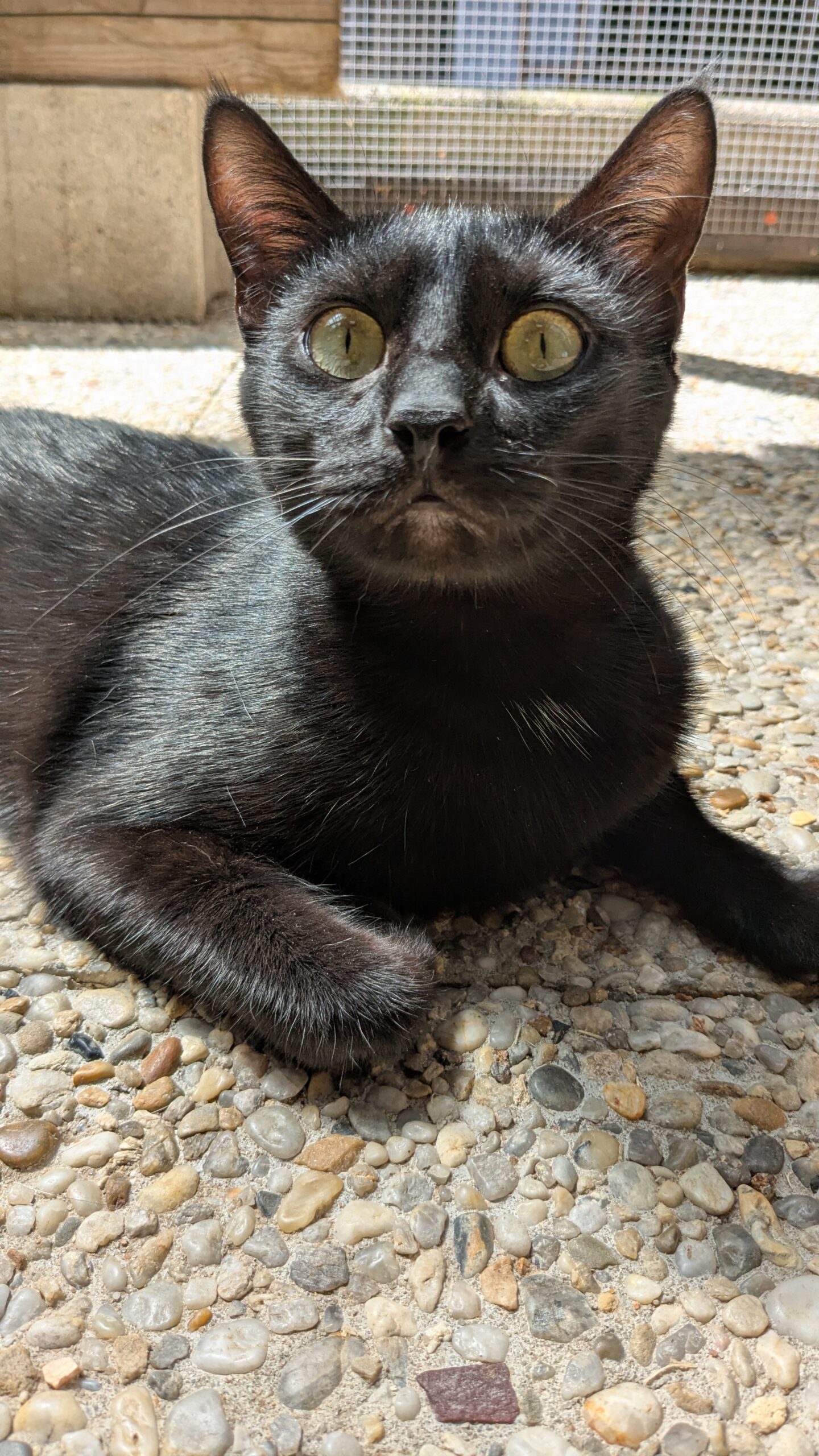 PXL_20250808_120857327