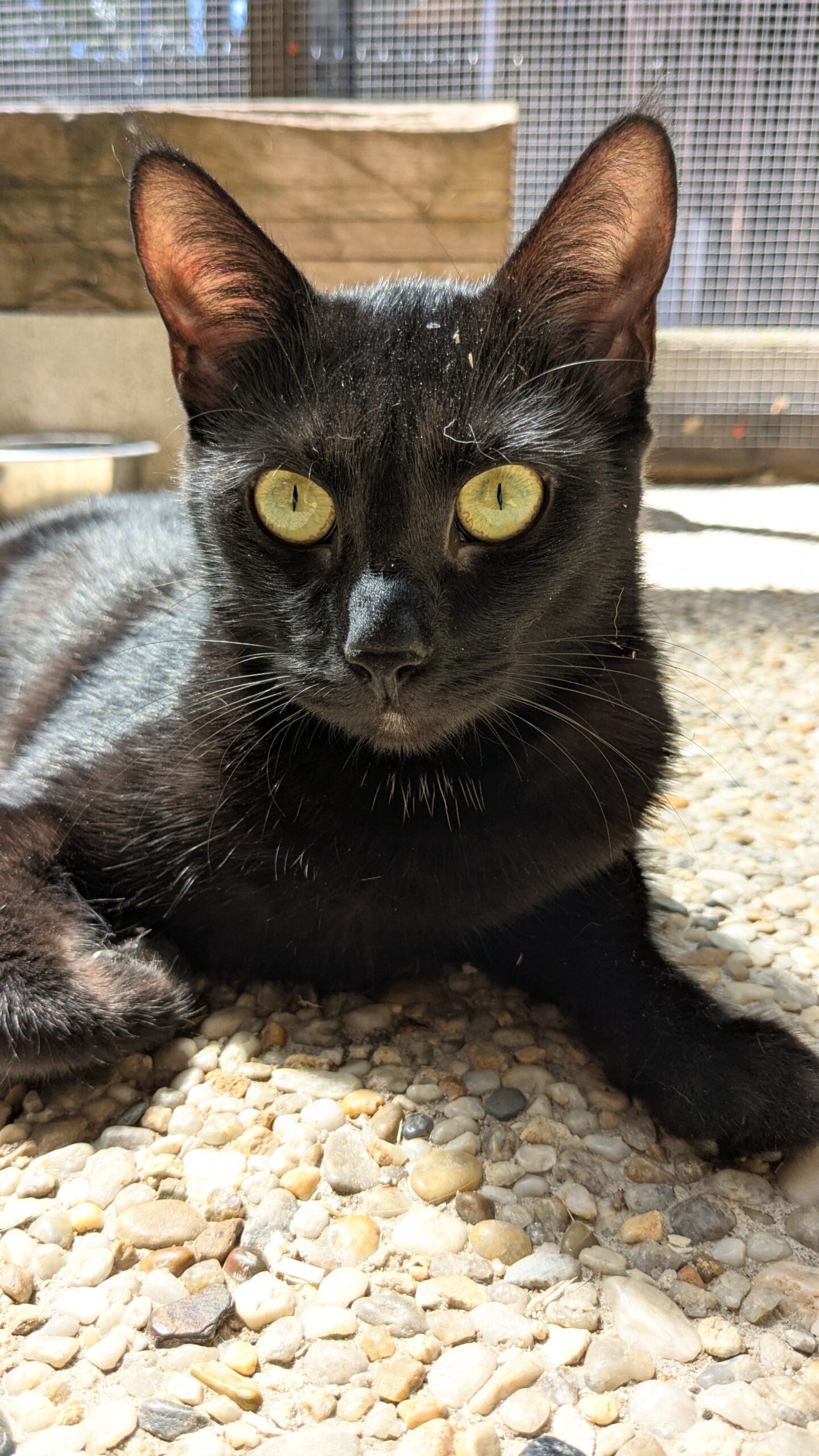 PXL_20250808_120953475