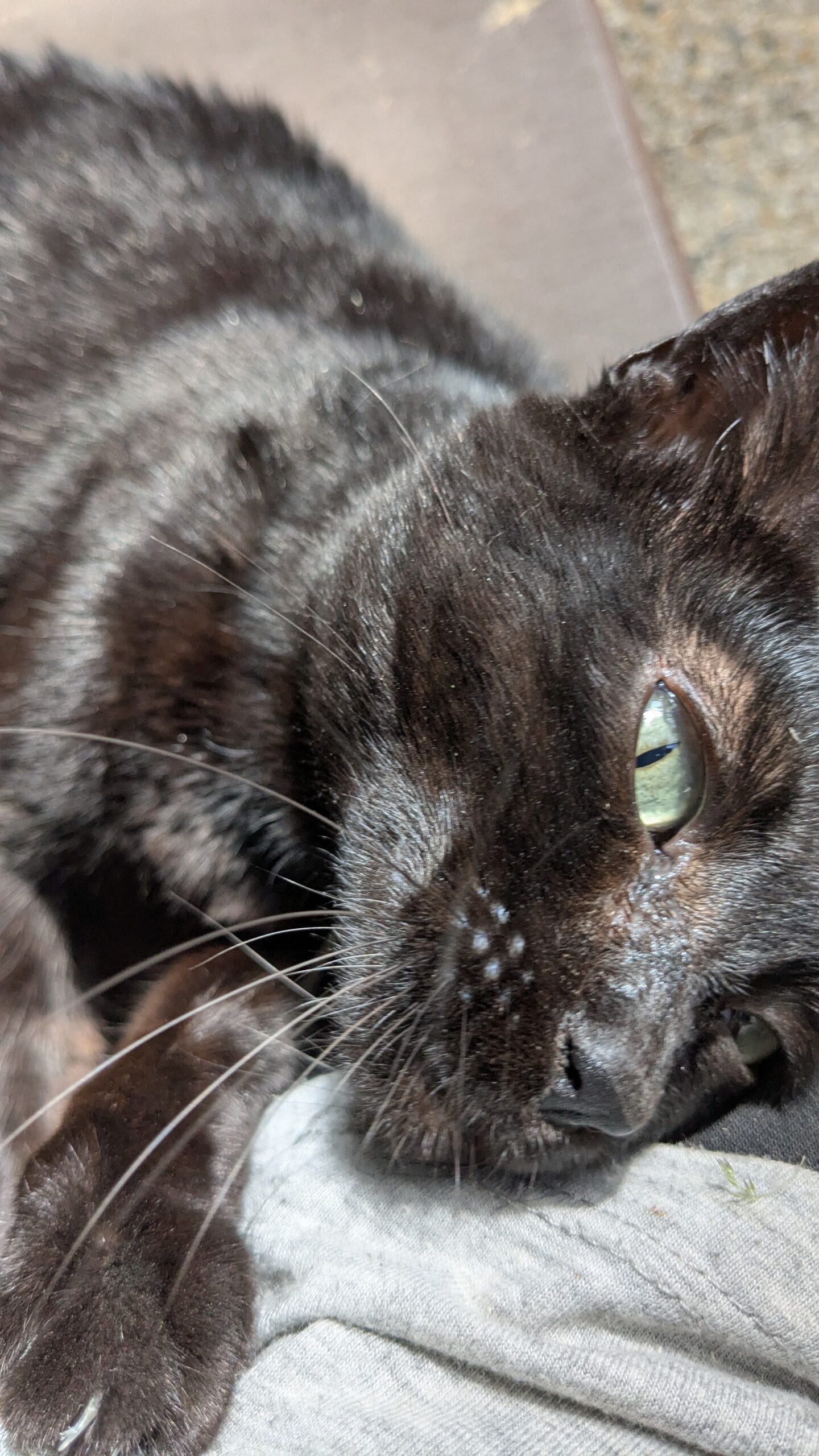 PXL_20250808_121022566