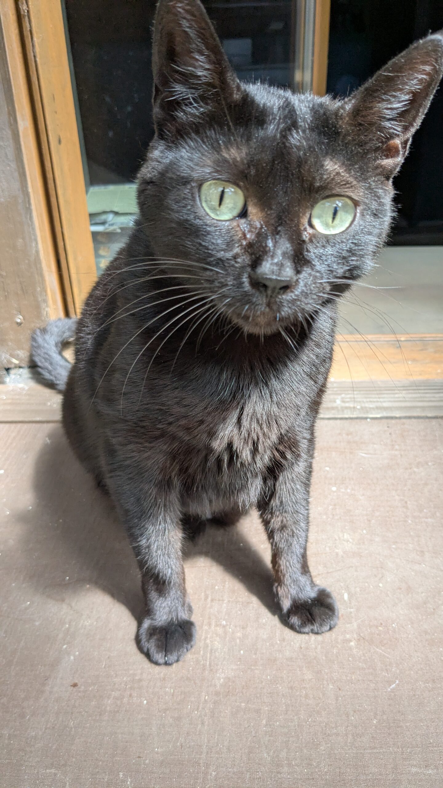 PXL_20250808_121059712