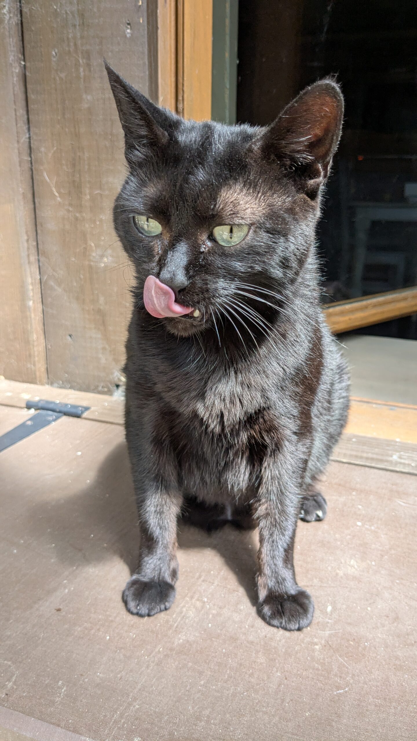 PXL_20250808_121108506