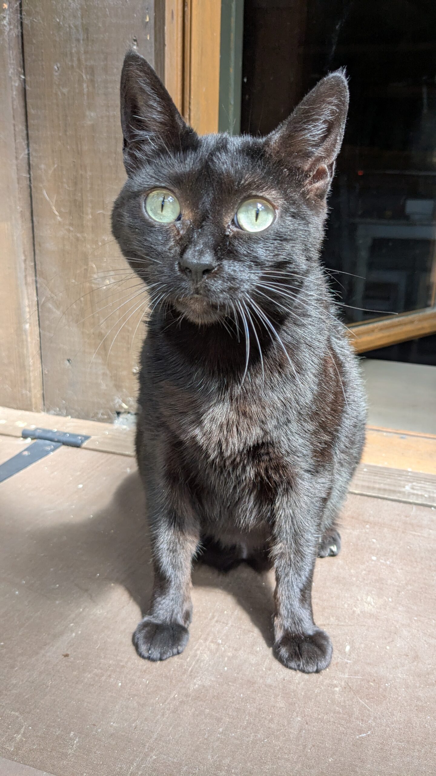 PXL_20250808_121116562