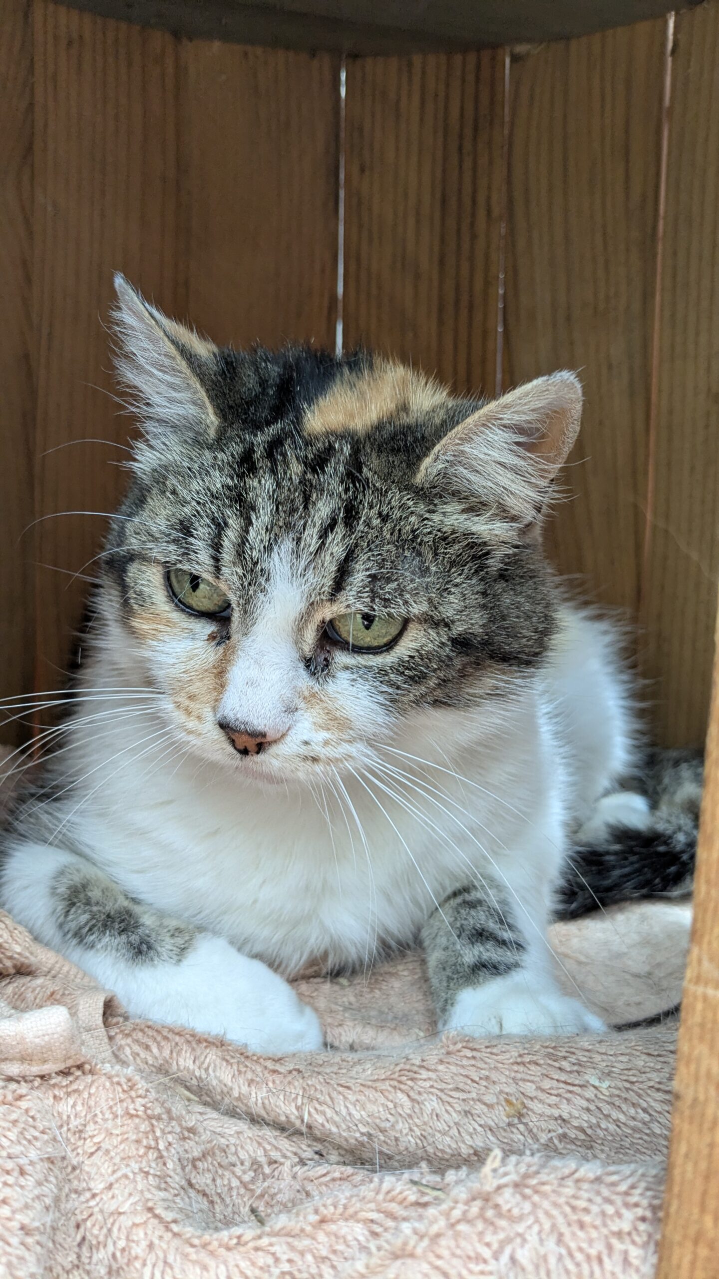 PXL_20250808_121230815