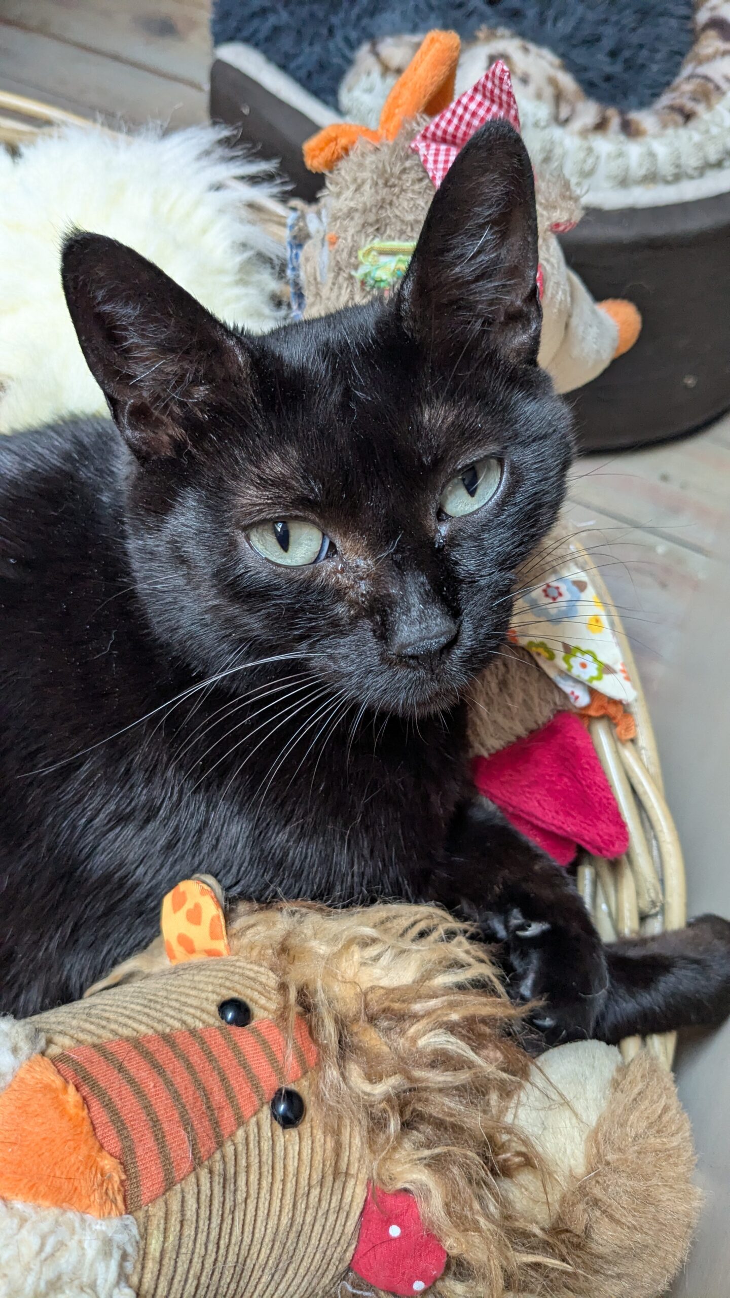 PXL_20250810_115333394