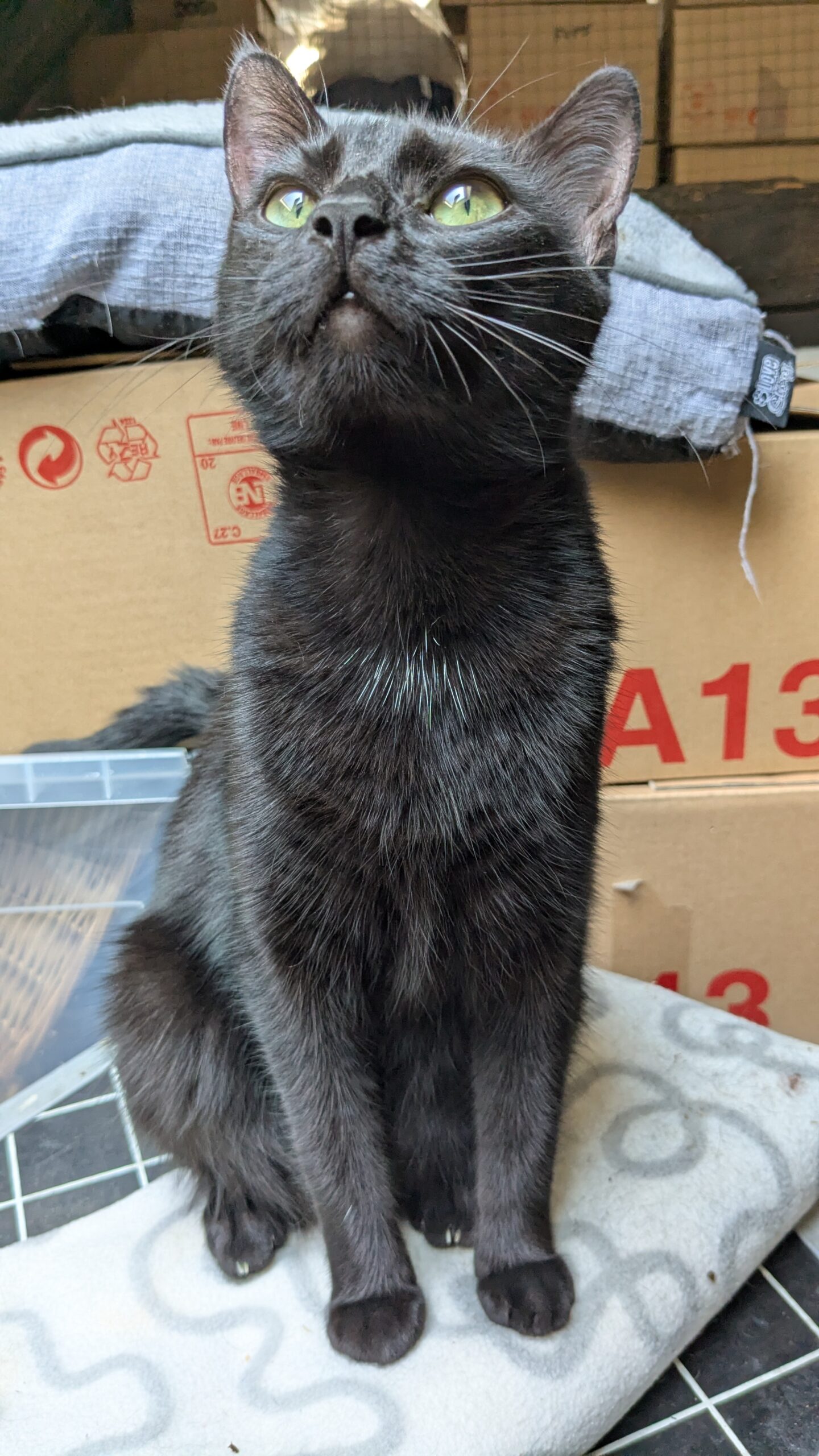 PXL_20250810_115502742