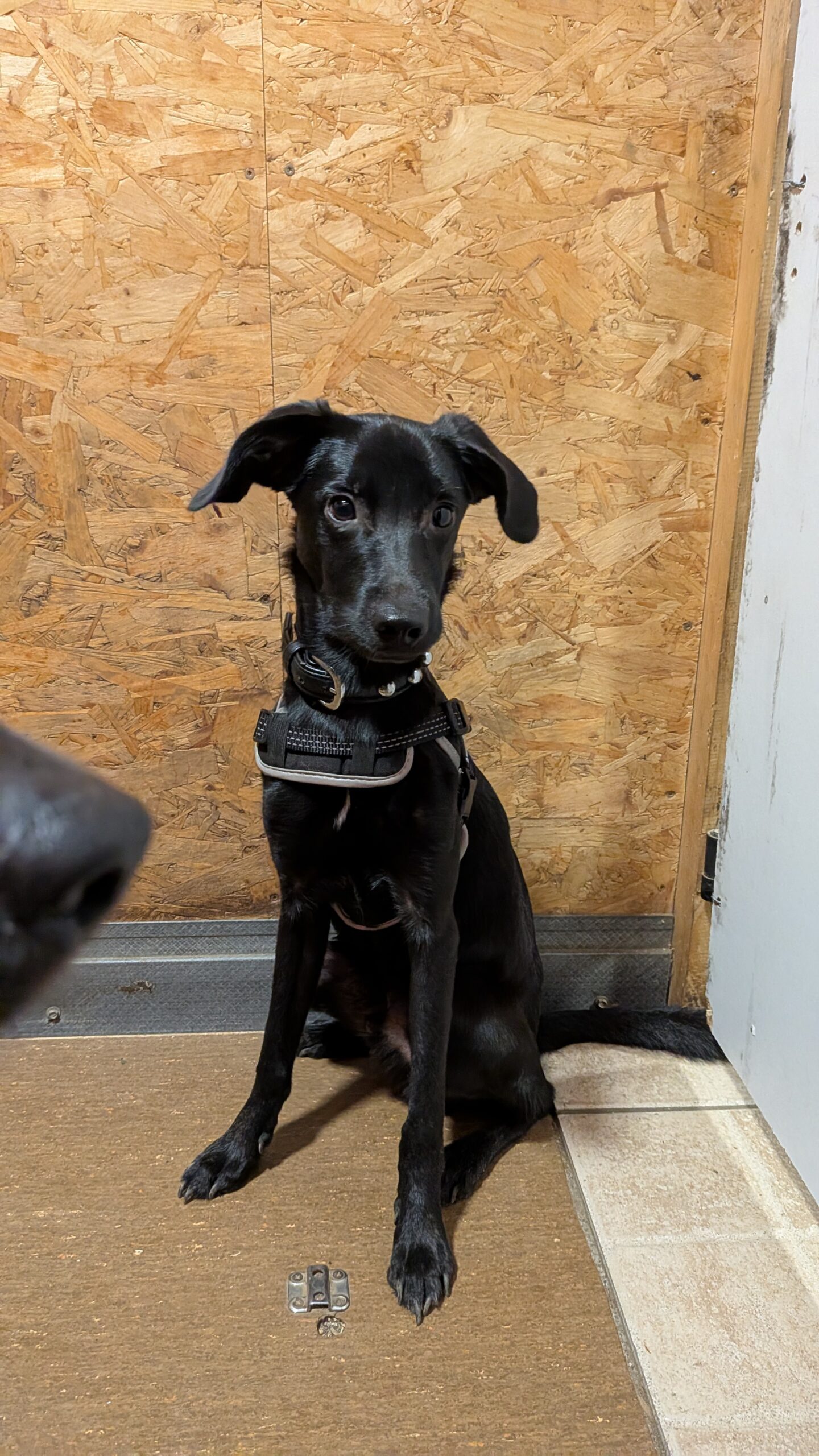 PXL_20250922_185642593