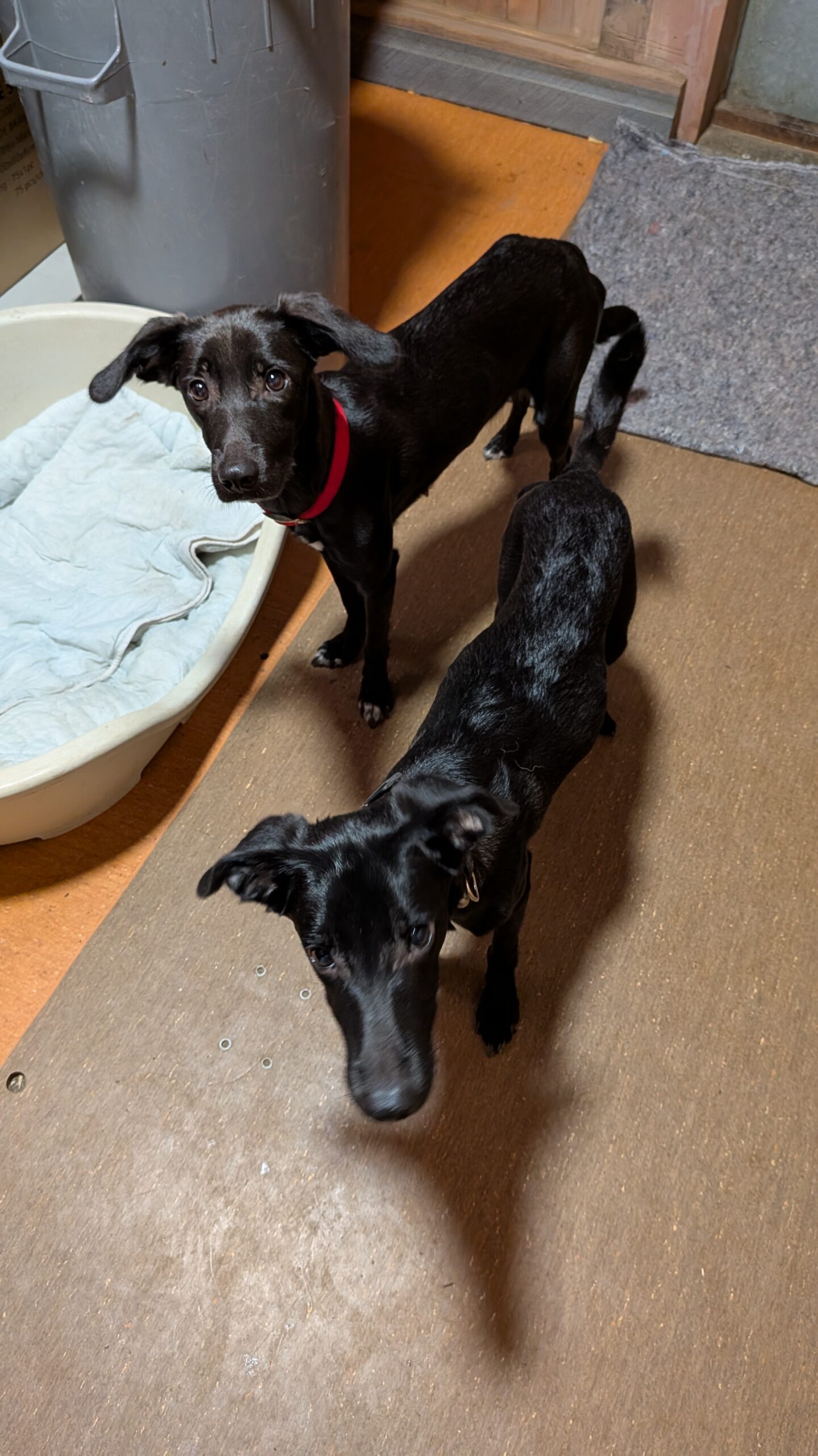 PXL_20250923_074143176.MP