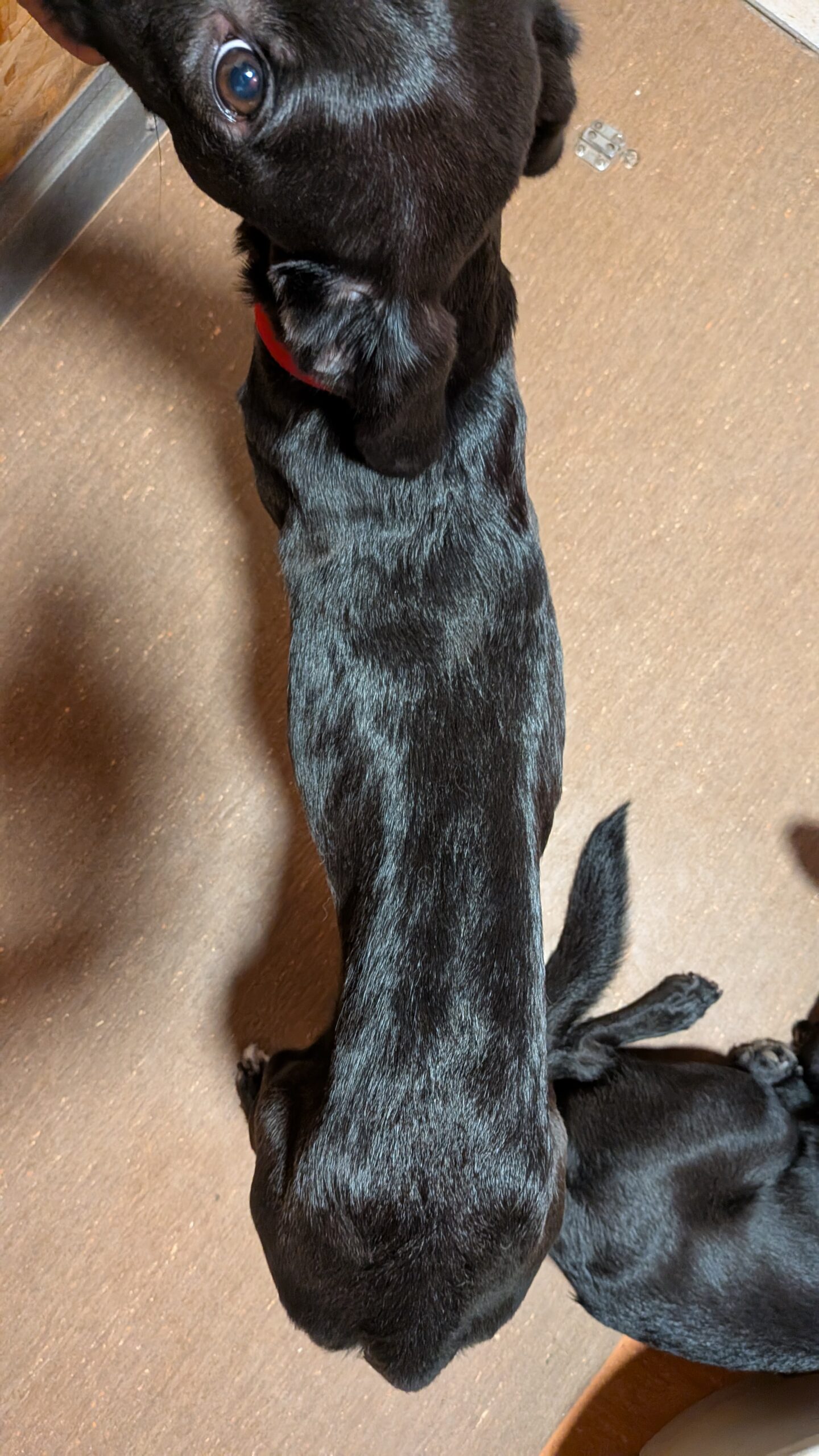 PXL_20250923_074237598.MP