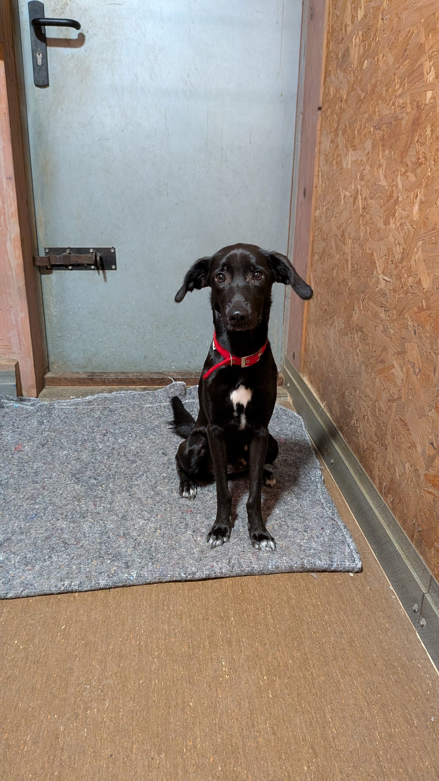 PXL_20250923_075525256.MP