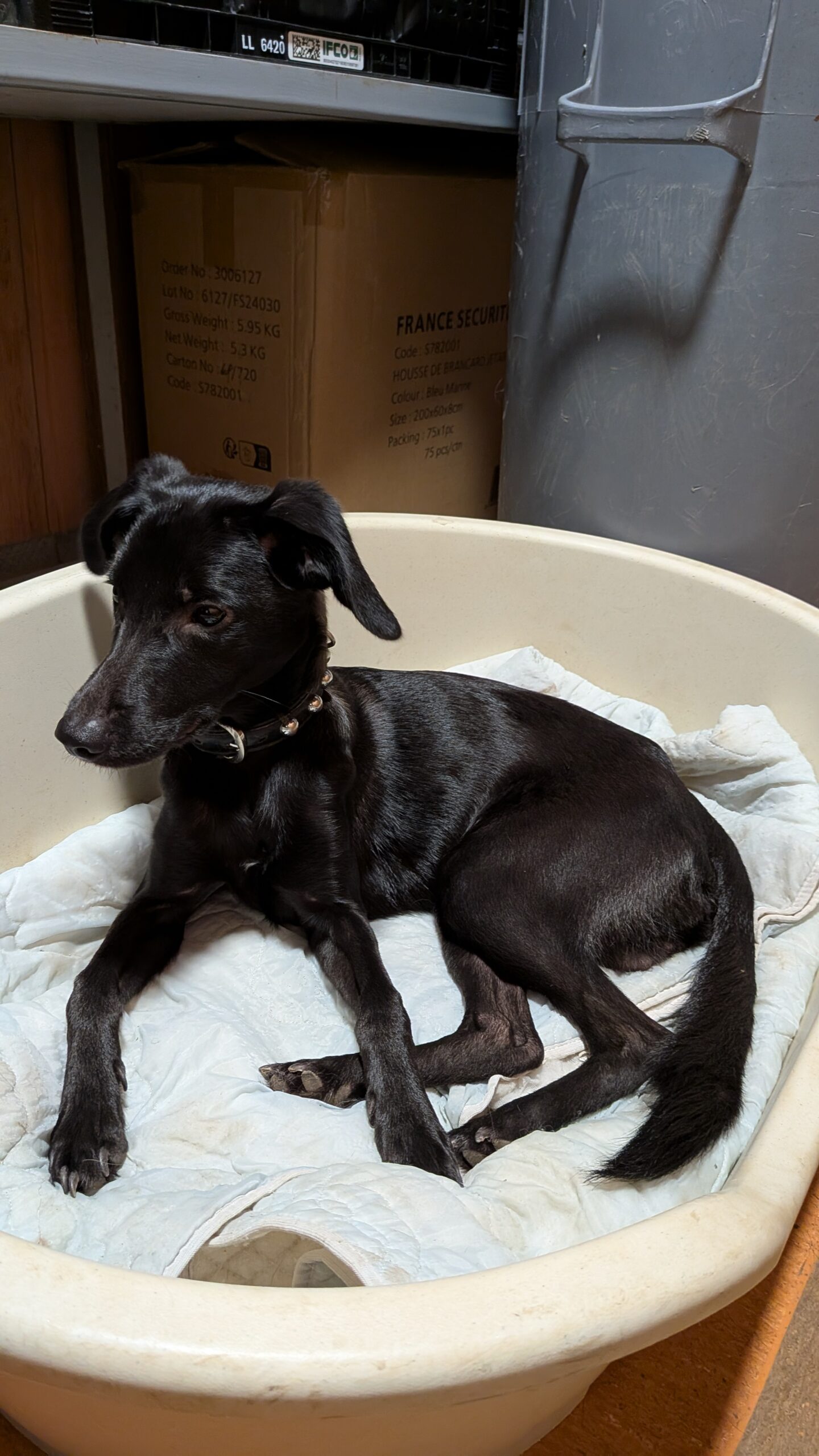 PXL_20250923_075609273.MP