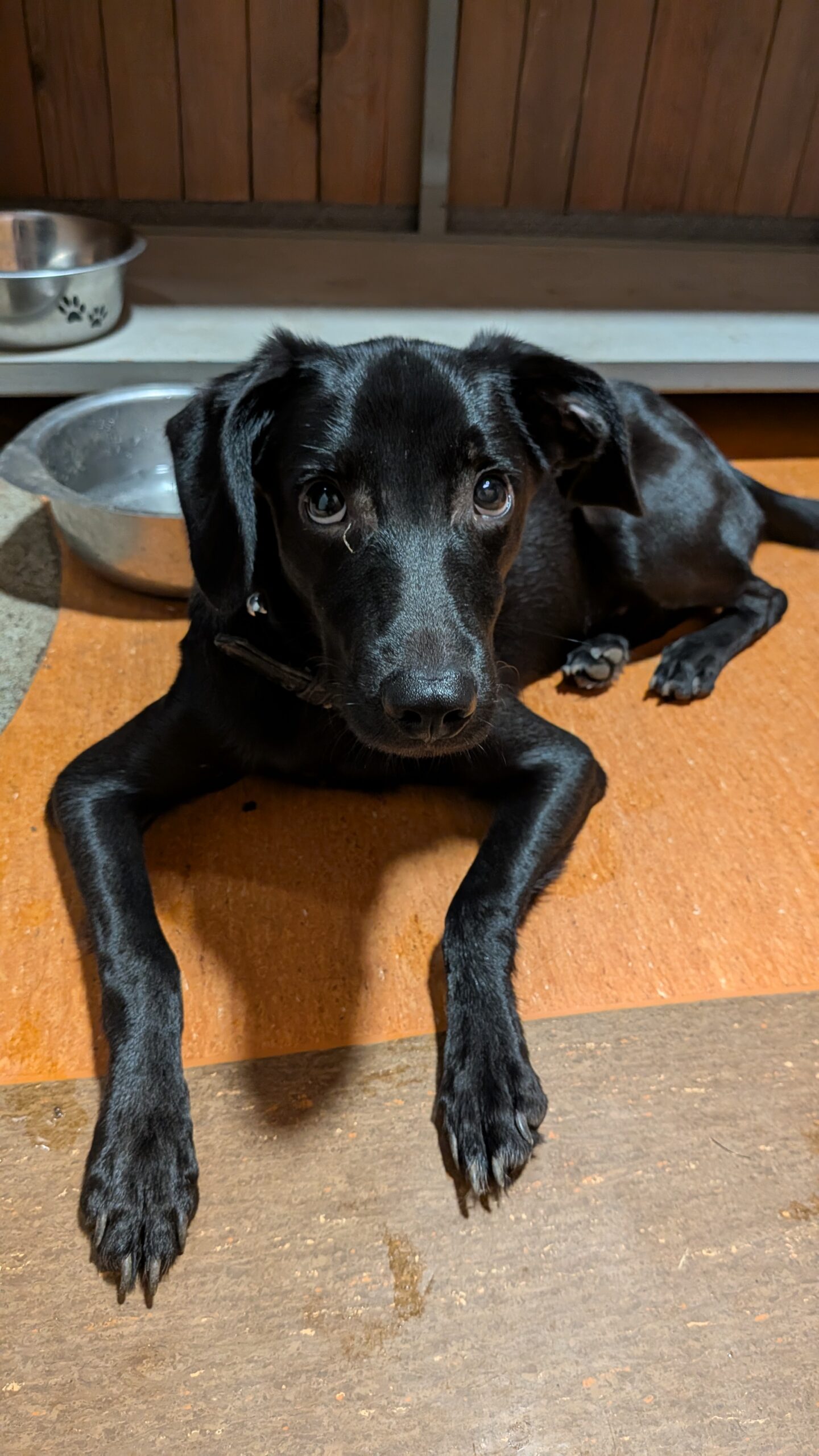 PXL_20250925_195348200.MP