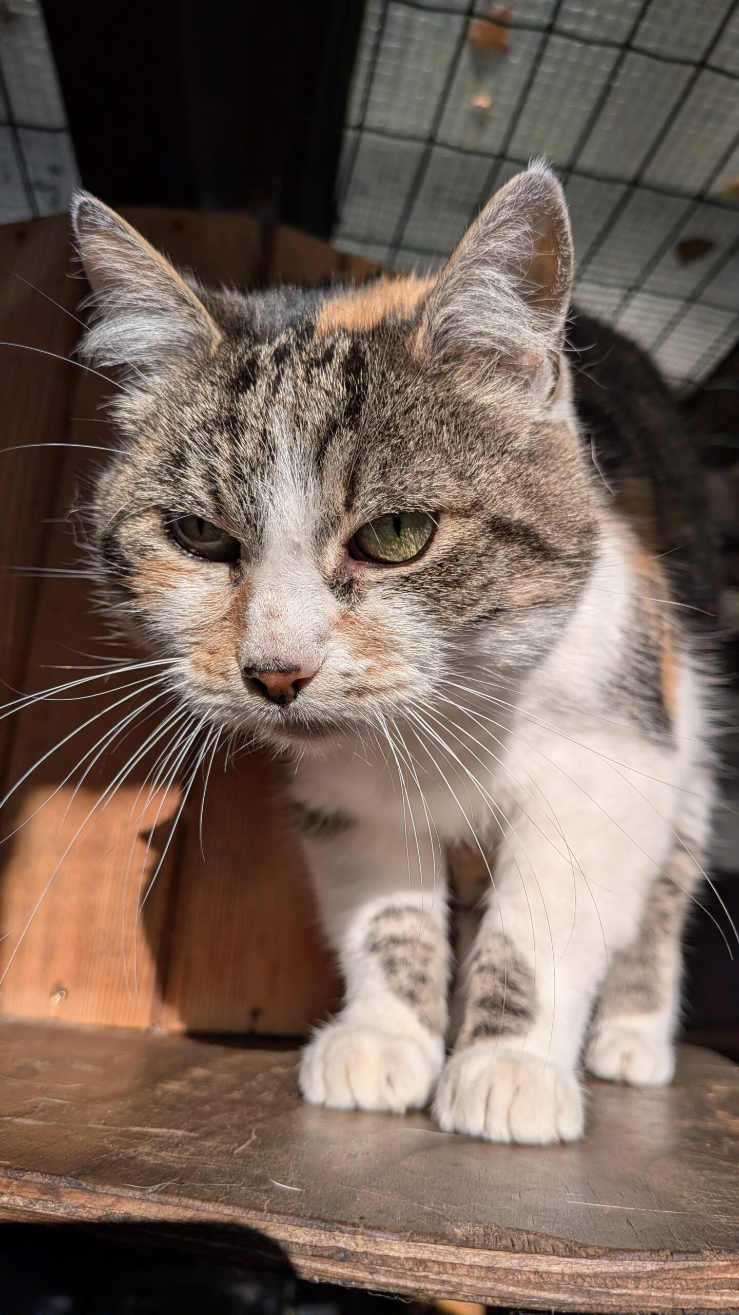 PXL_20251001_151757344