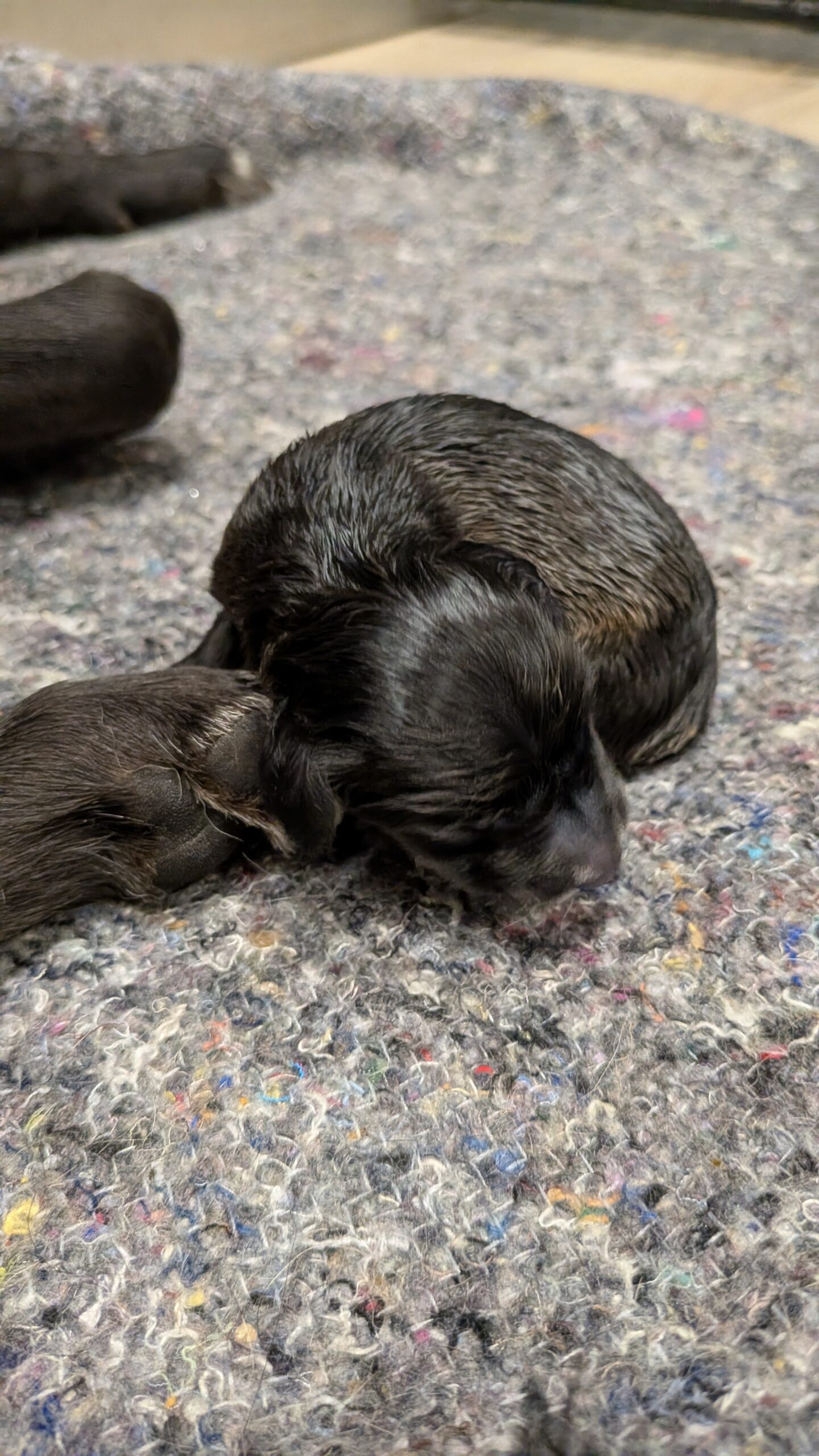 PXL_20251030_010211419.MP