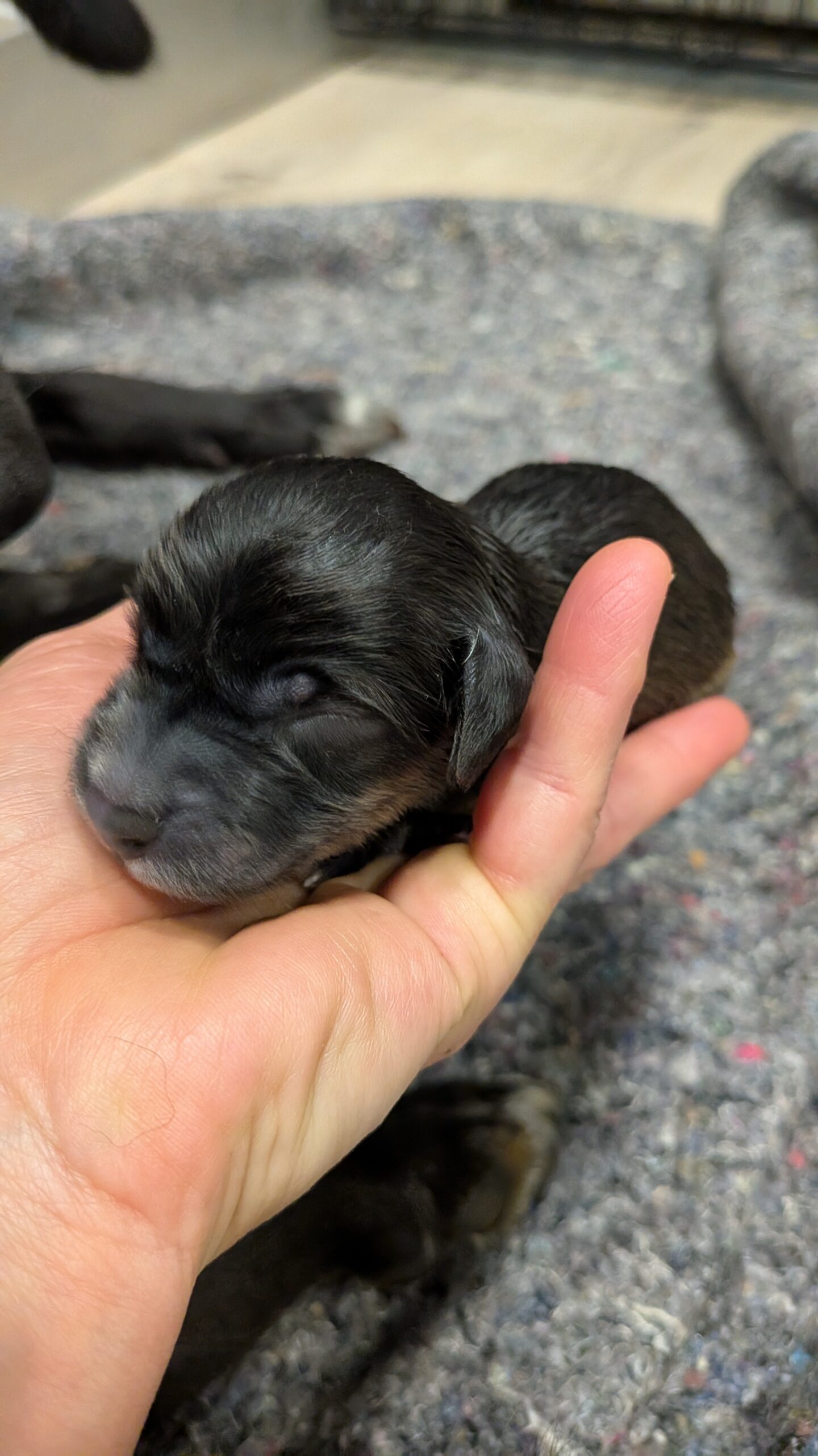 PXL_20251030_010241714