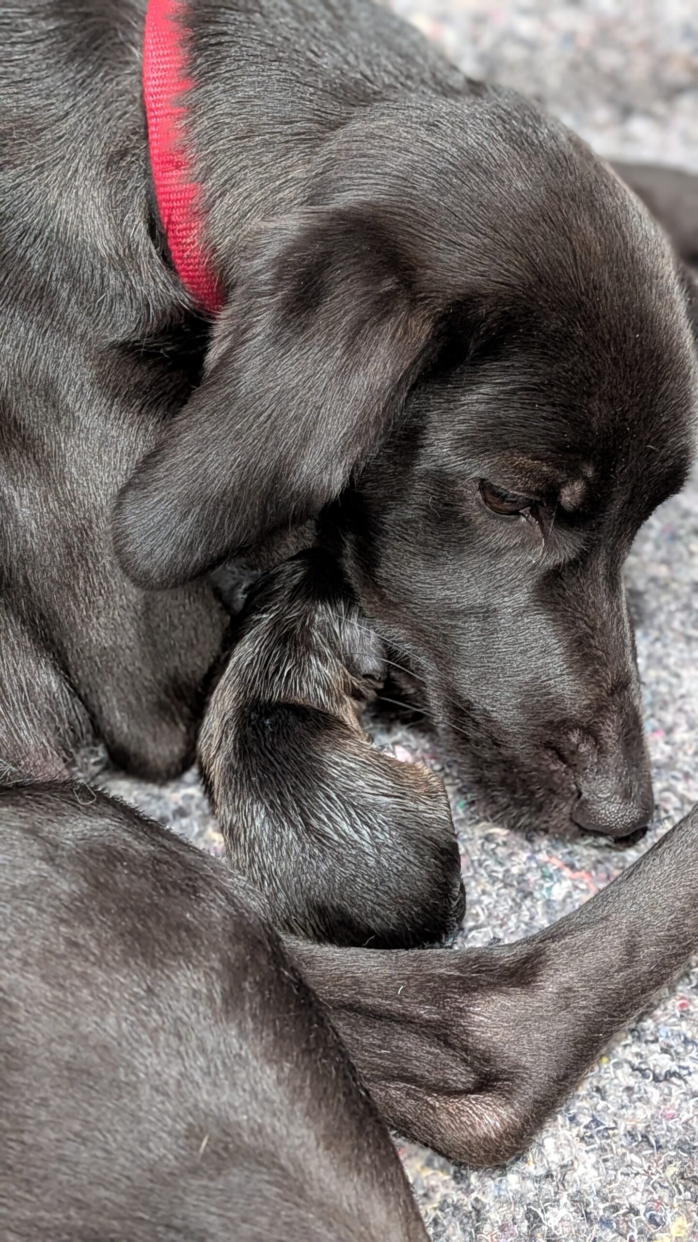 PXL_20251030_010500943.PORTRAIT