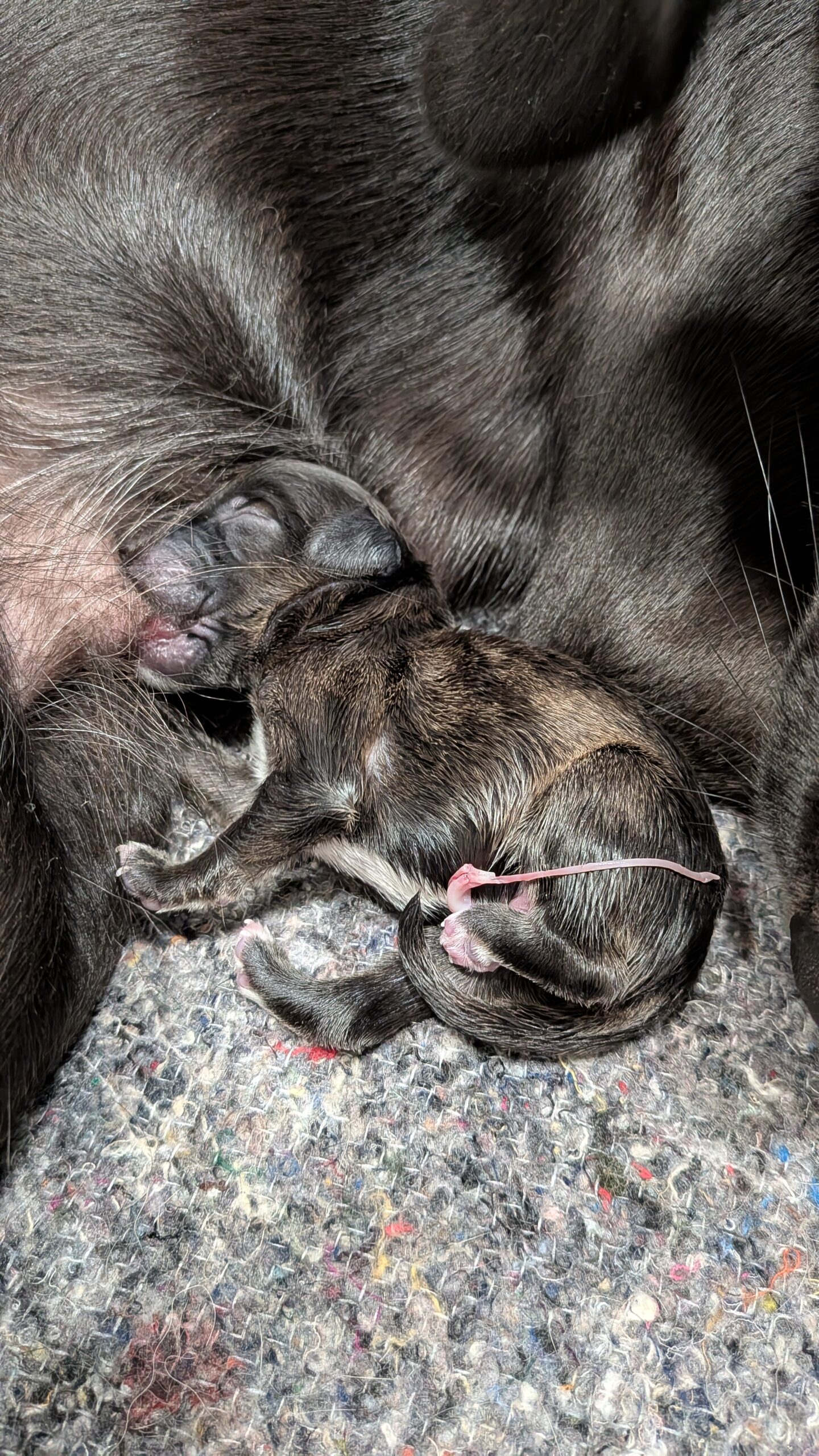 PXL_20251030_011901545