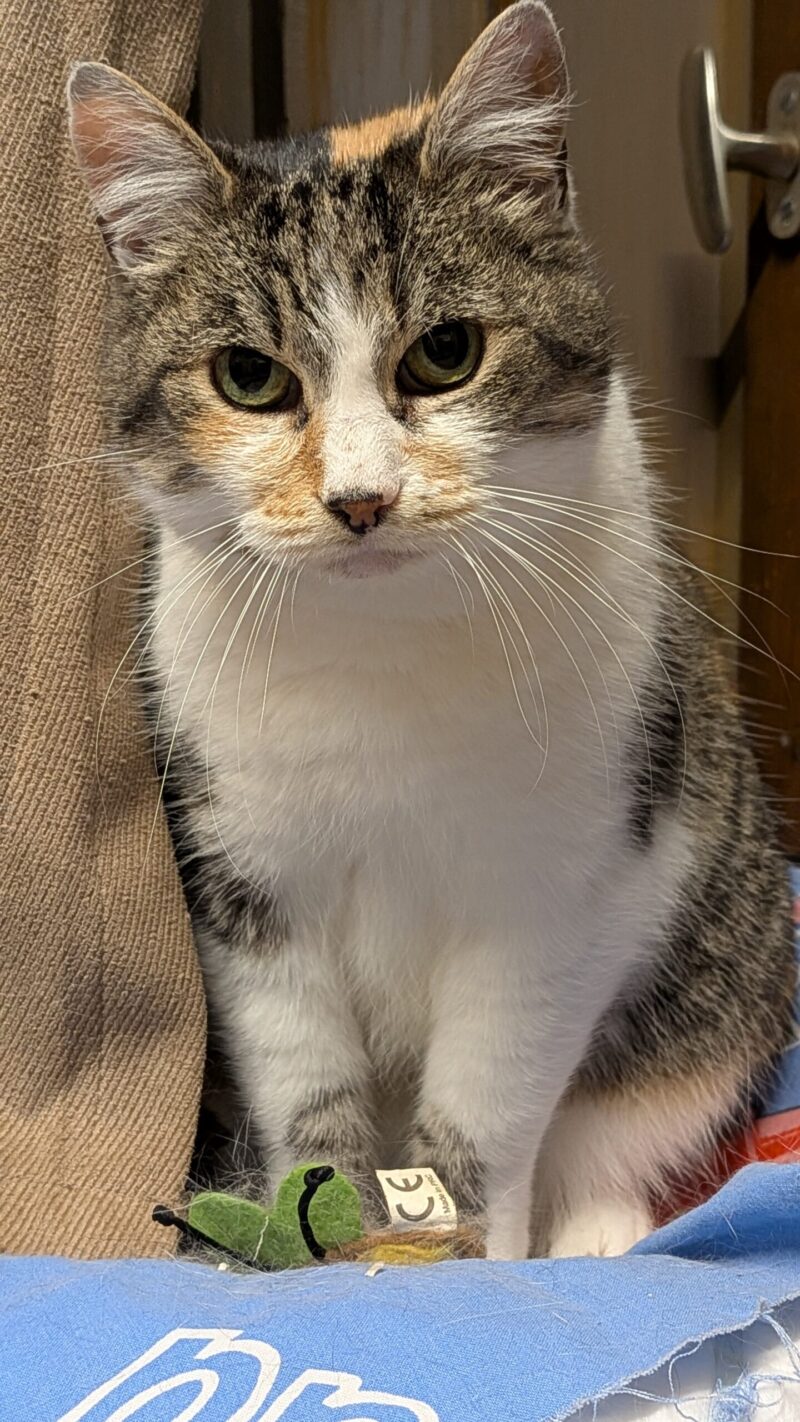 PXL_20251107_223113809