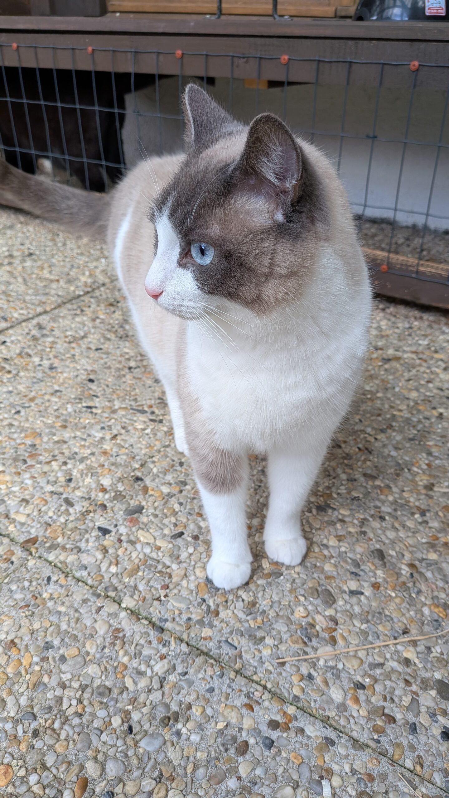 PXL_20251117_115345859