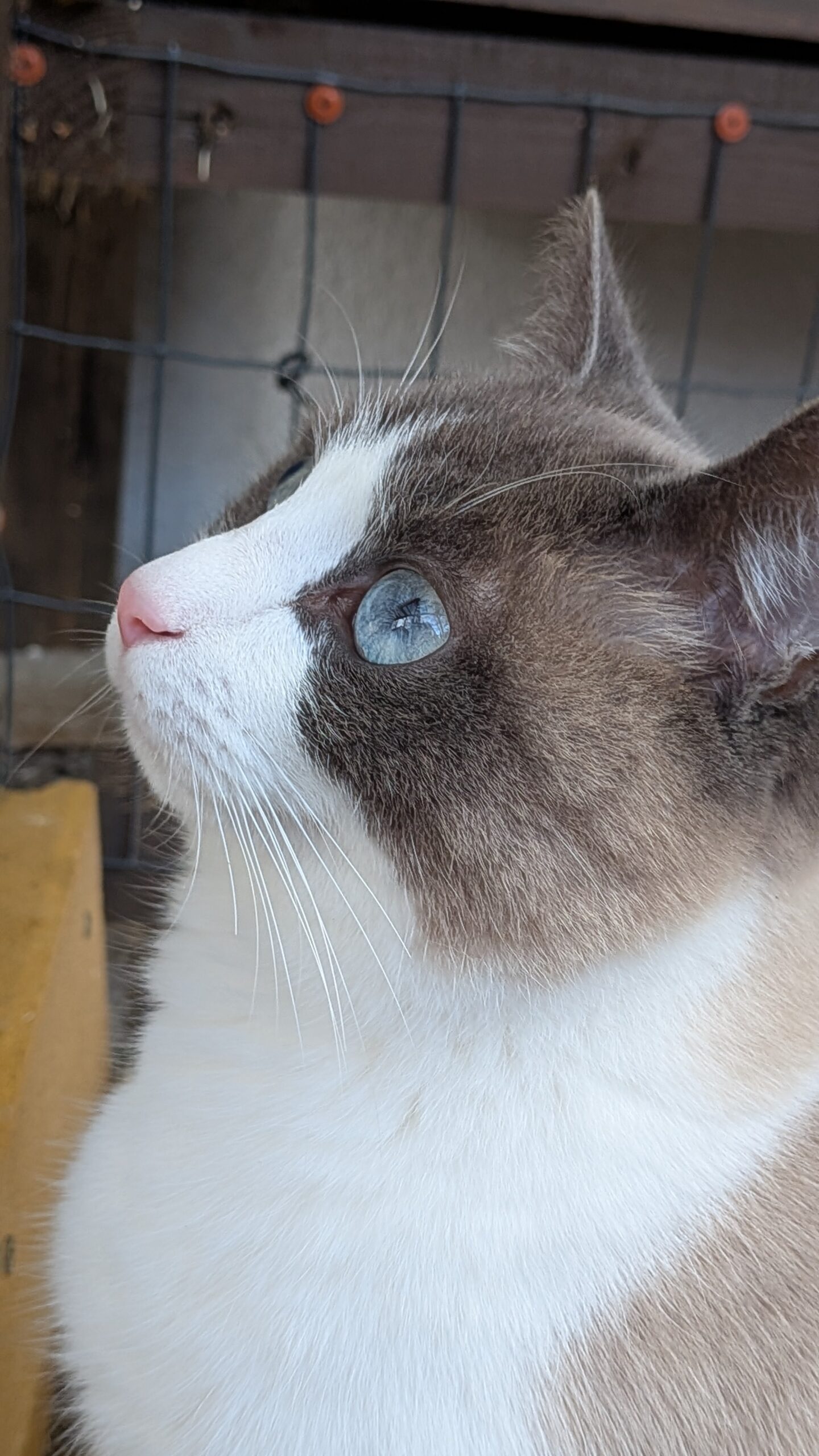 PXL_20251117_115954286