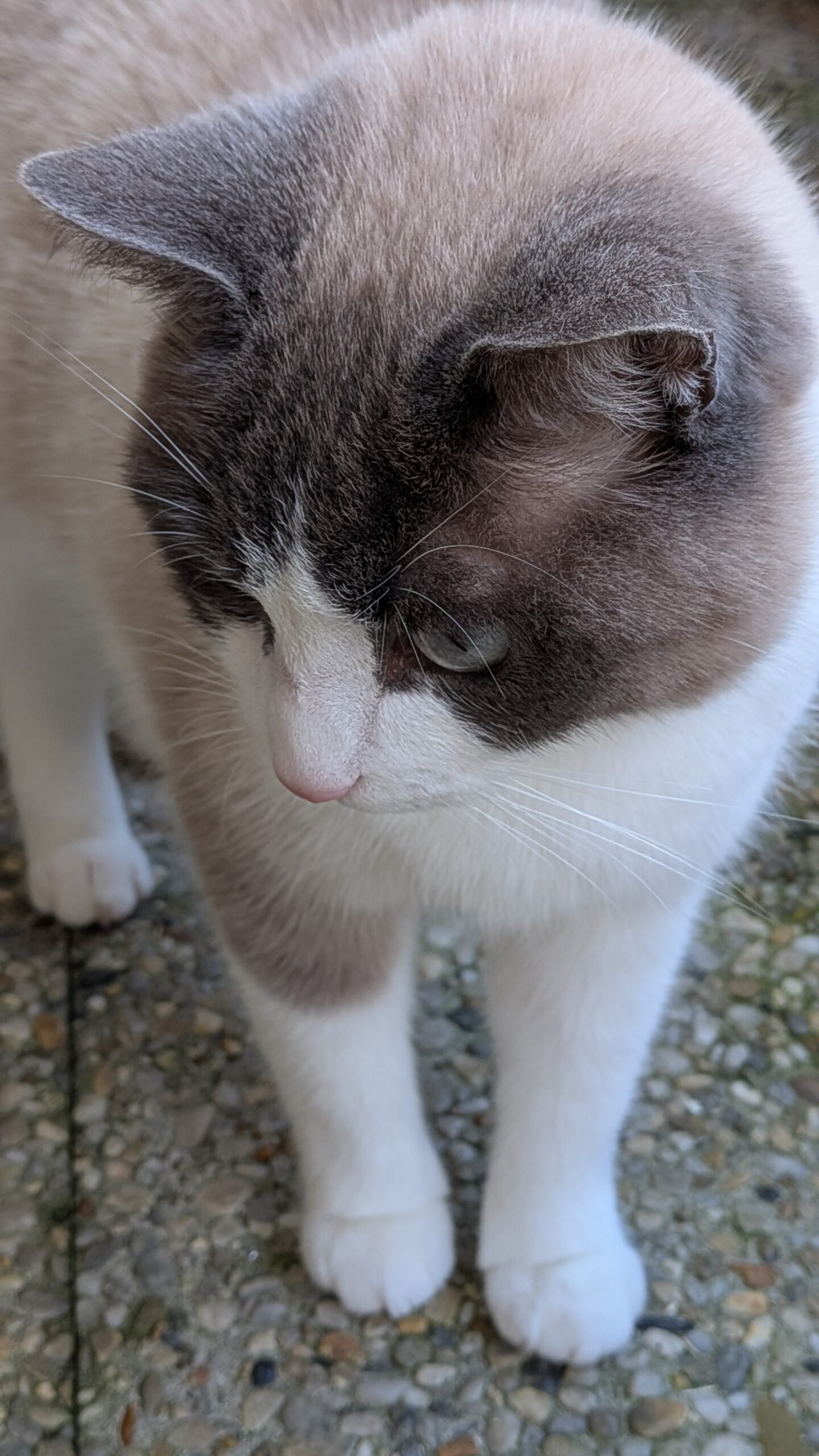 PXL_20251117_120043845