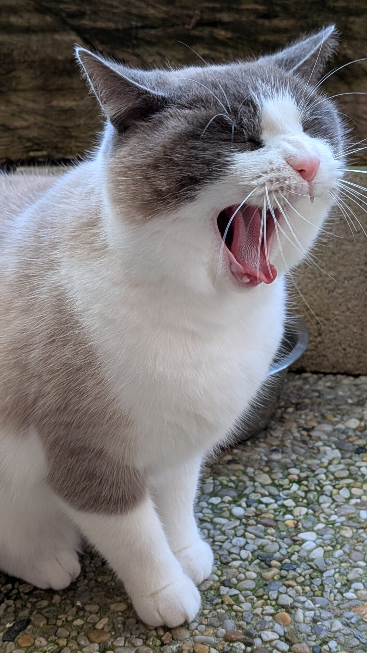 PXL_20251117_120056804