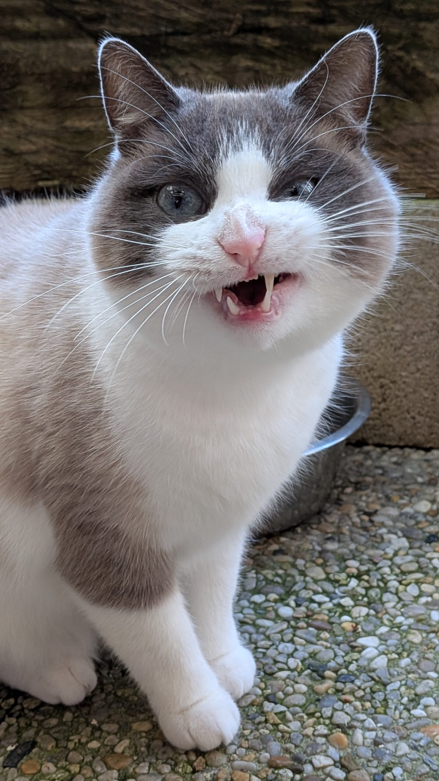 PXL_20251117_120057573