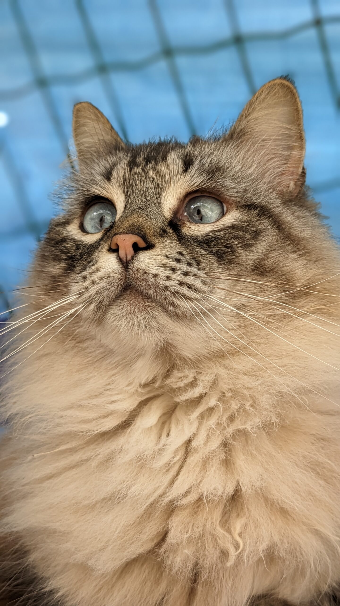 PXL_20230410_132236040.PORTRAIT