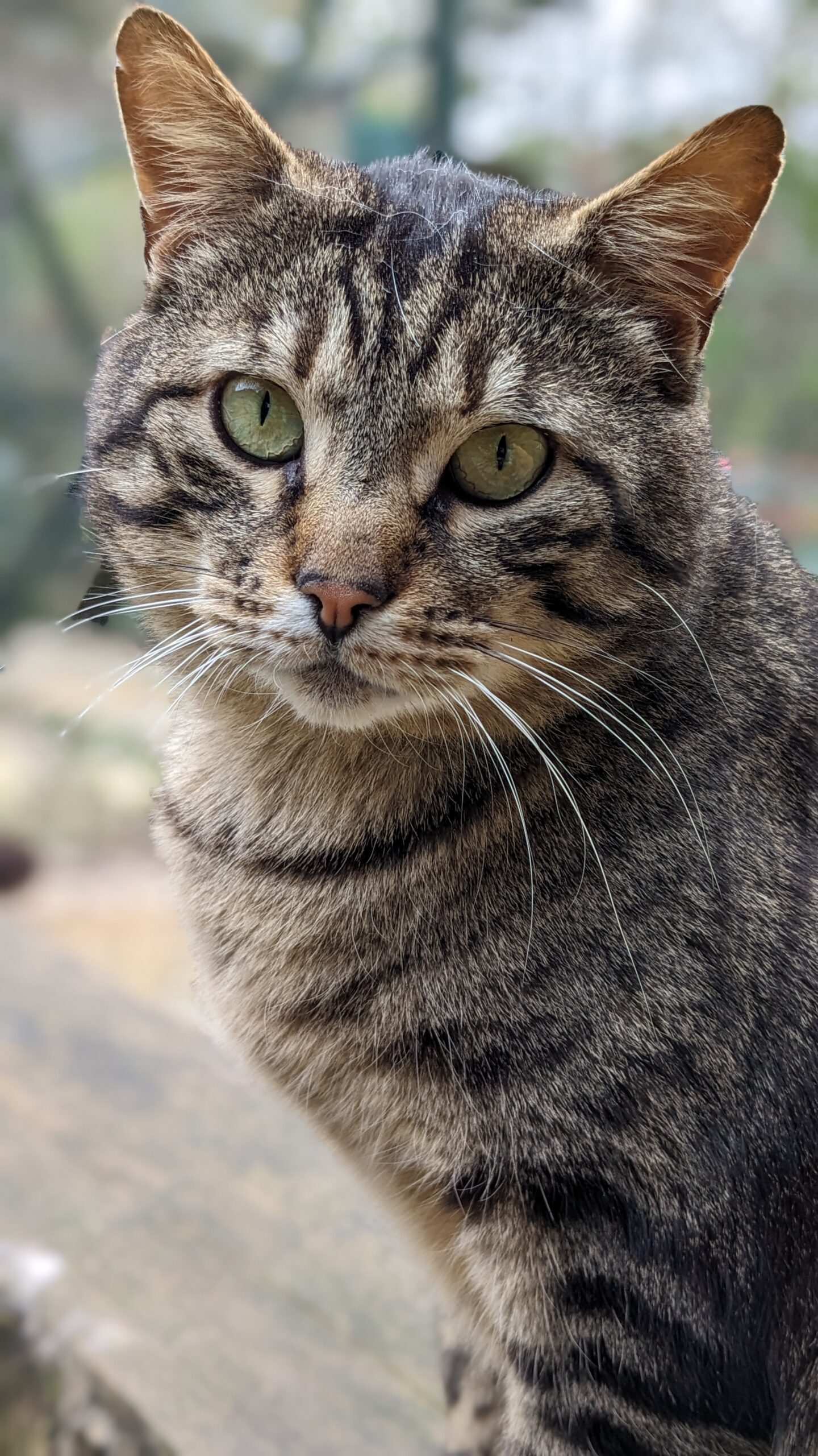 PXL_20230410_132440909.PORTRAIT