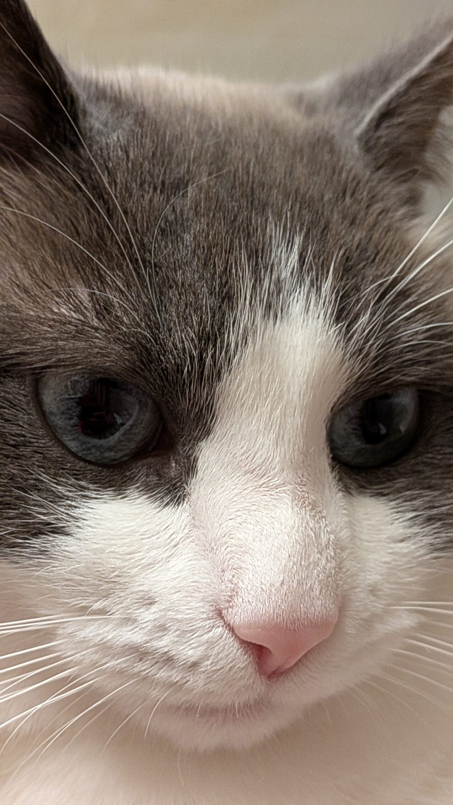 PXL_20251201_175549286